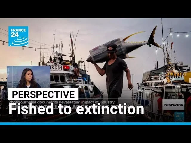 [Video] Photojournalist Nicole Tung on the Environmental and Human Toll of Overfishing