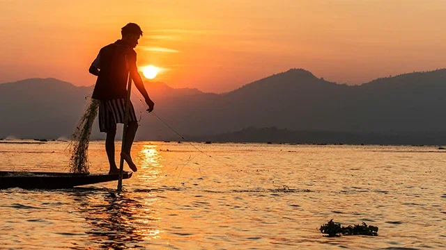 Out of Sight, At Sea: Migrant Labor and the Hidden Worlds of Global Seafood