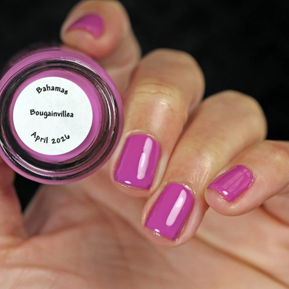 Bougainvillea (1).JPG