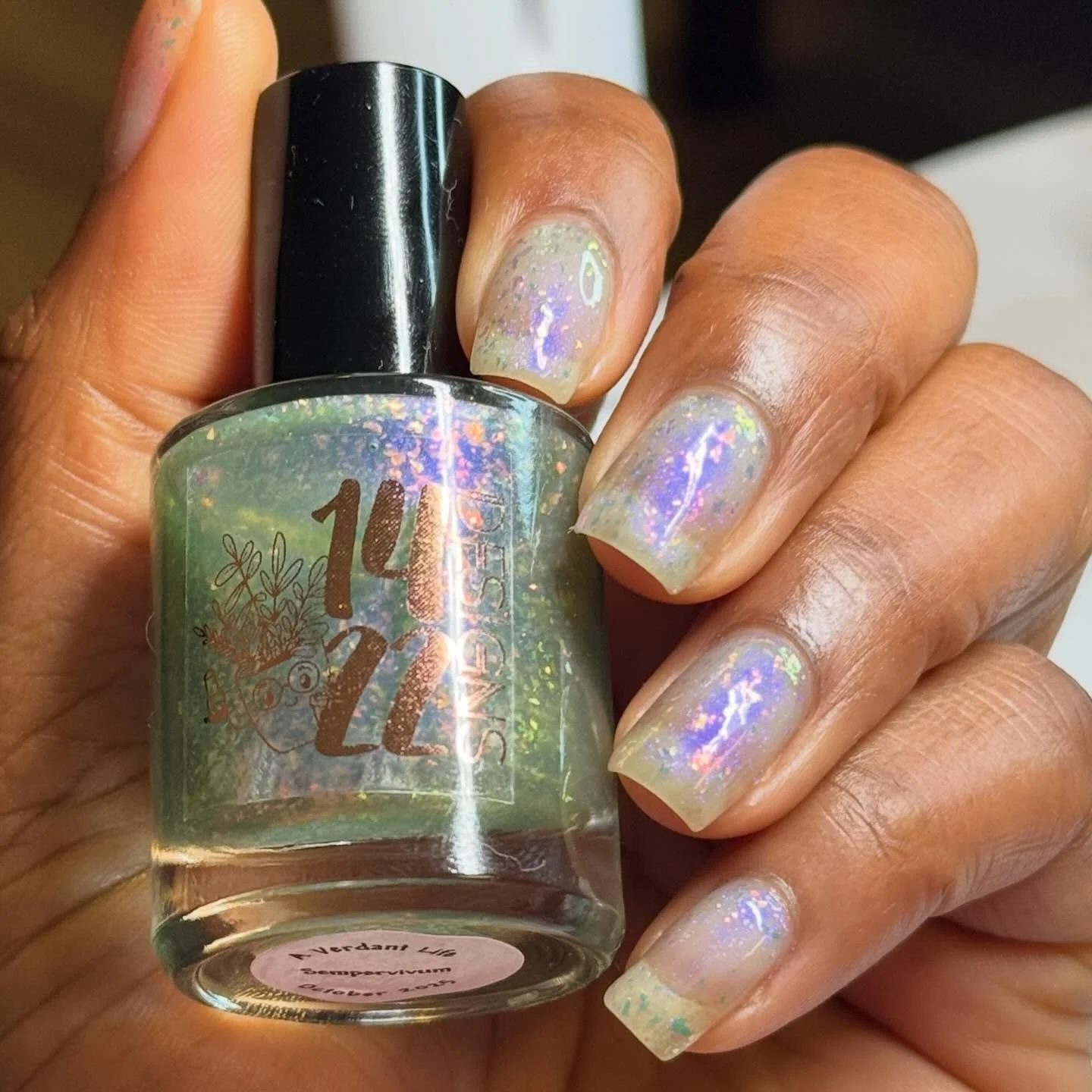Last in the Verdant Life trio is Sempervivum.  This polish is accidentally spooky with a translucent green base, strong purple shimmer and iridescent flakes.  This polish can be worn alone or topped over Philos and Valere.  It&rsquo;s super versatile