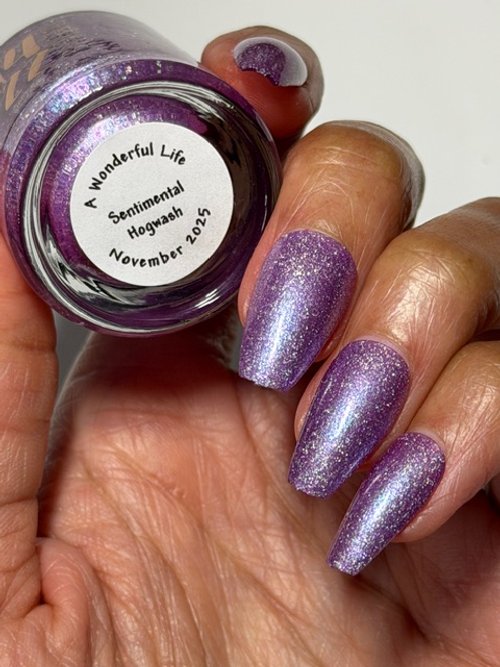 Sentimental Hogwash (Ebony) 5.jpeg