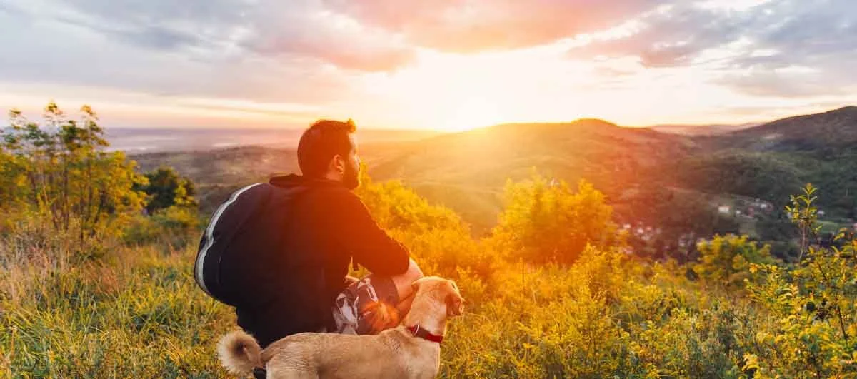 a man and his dog at sunset