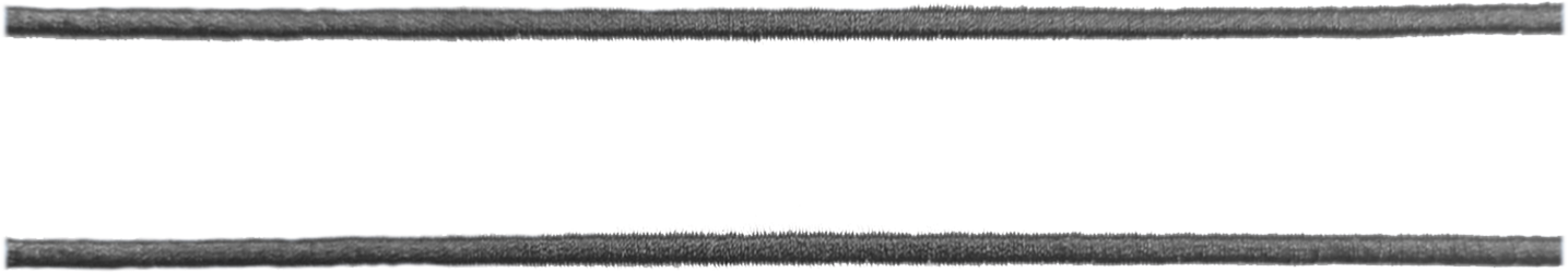 DOBLE FESTON NEGRO.png
