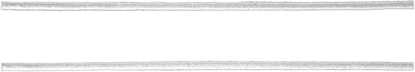 DOBLE FESTON BLANCO.png