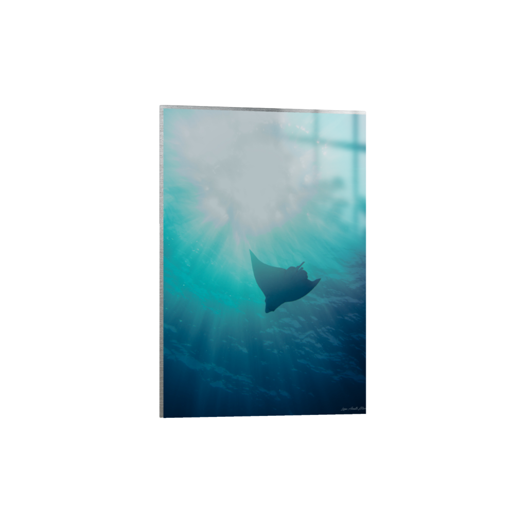 ptq_13_3_15_0_5301_7952_0_false_ffffff_0_0_.png