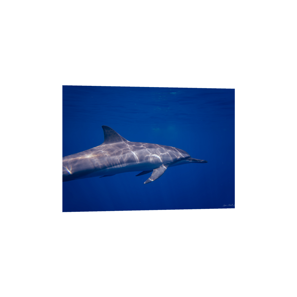 ptq_1_7_400_0_5600_4000_0_false_ffffff_0_0_.png