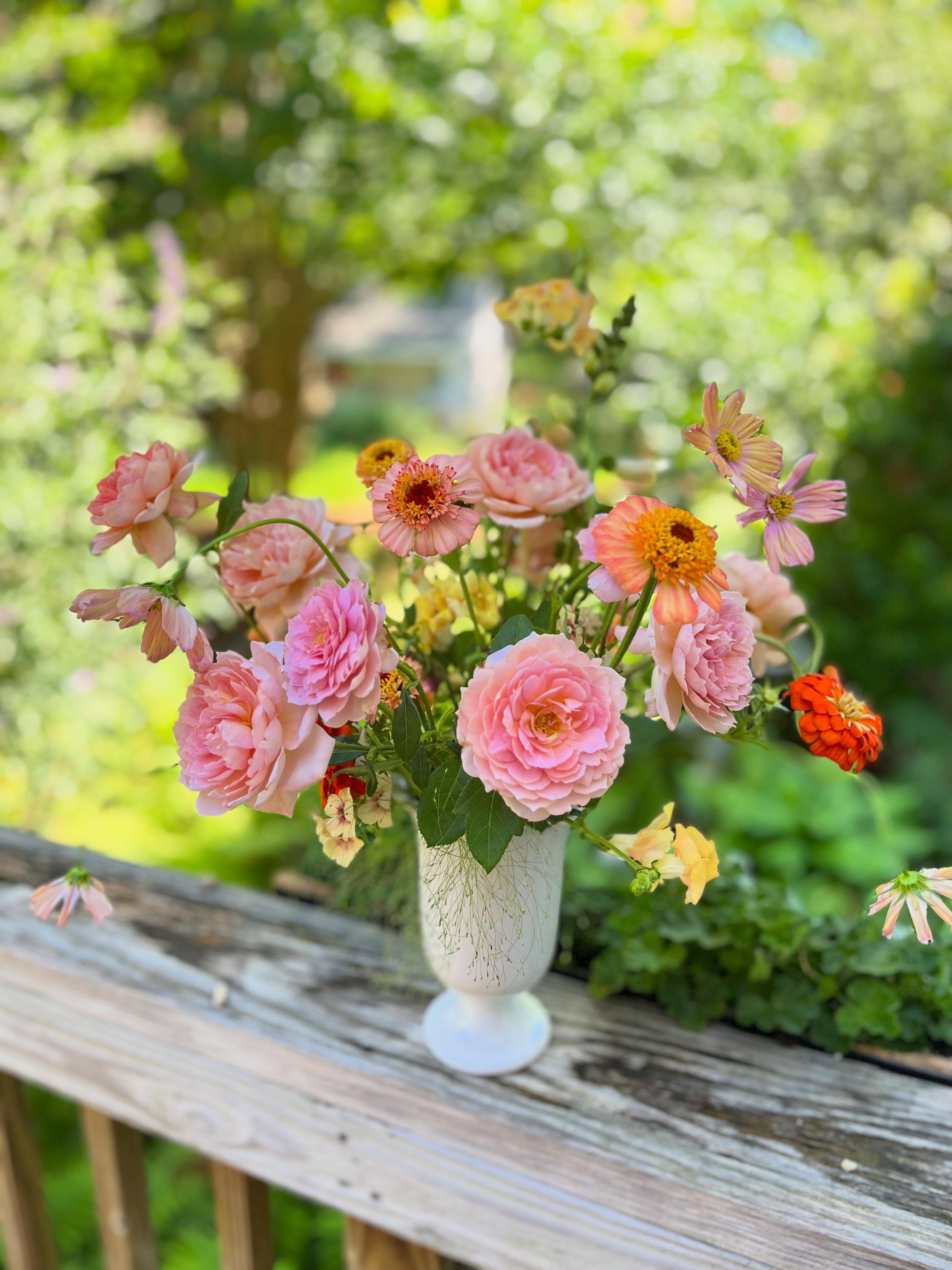 A sweet summertime arrangement 🌸☀️🍊