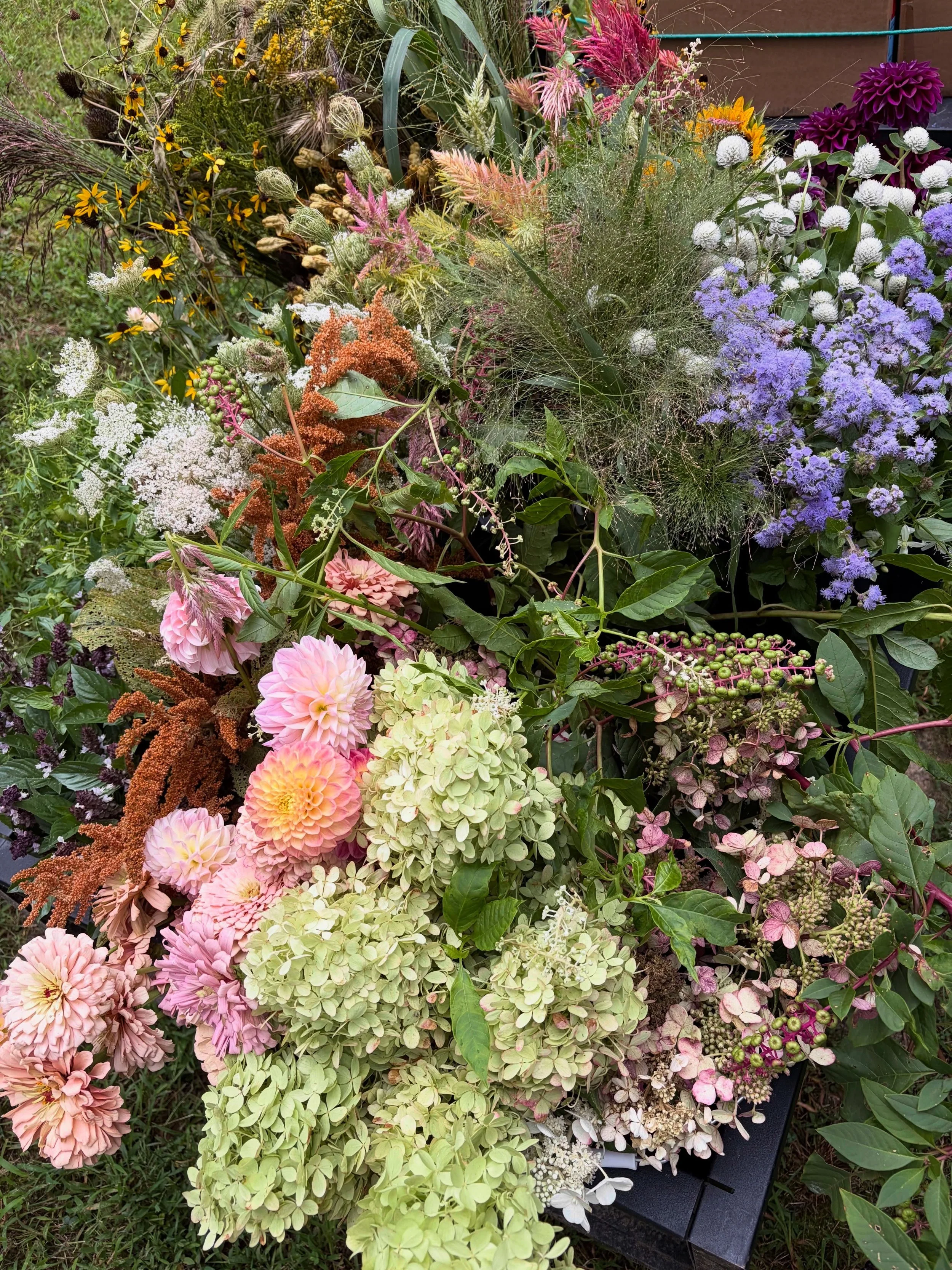 What local flowers look like ✨
 
If you&rsquo;ve recently inquired with us, you had to check a little box to acknowledge that we are now using only local flowers for all events. 

This means our wedding season is shorter, only taking weddings from mi