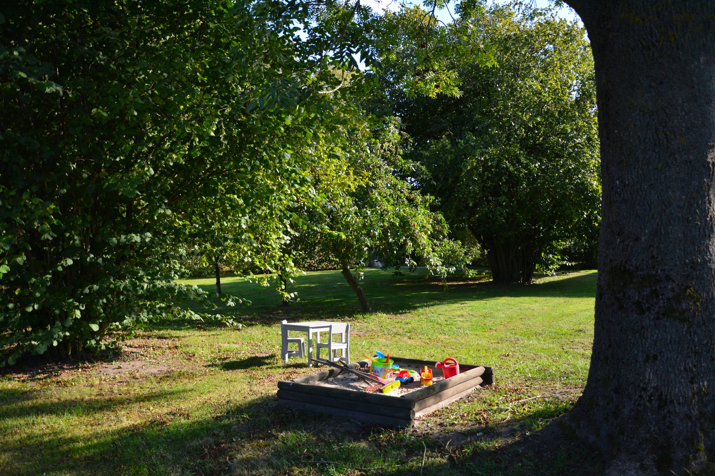 DSC_0476 for website.jpg.jpeg