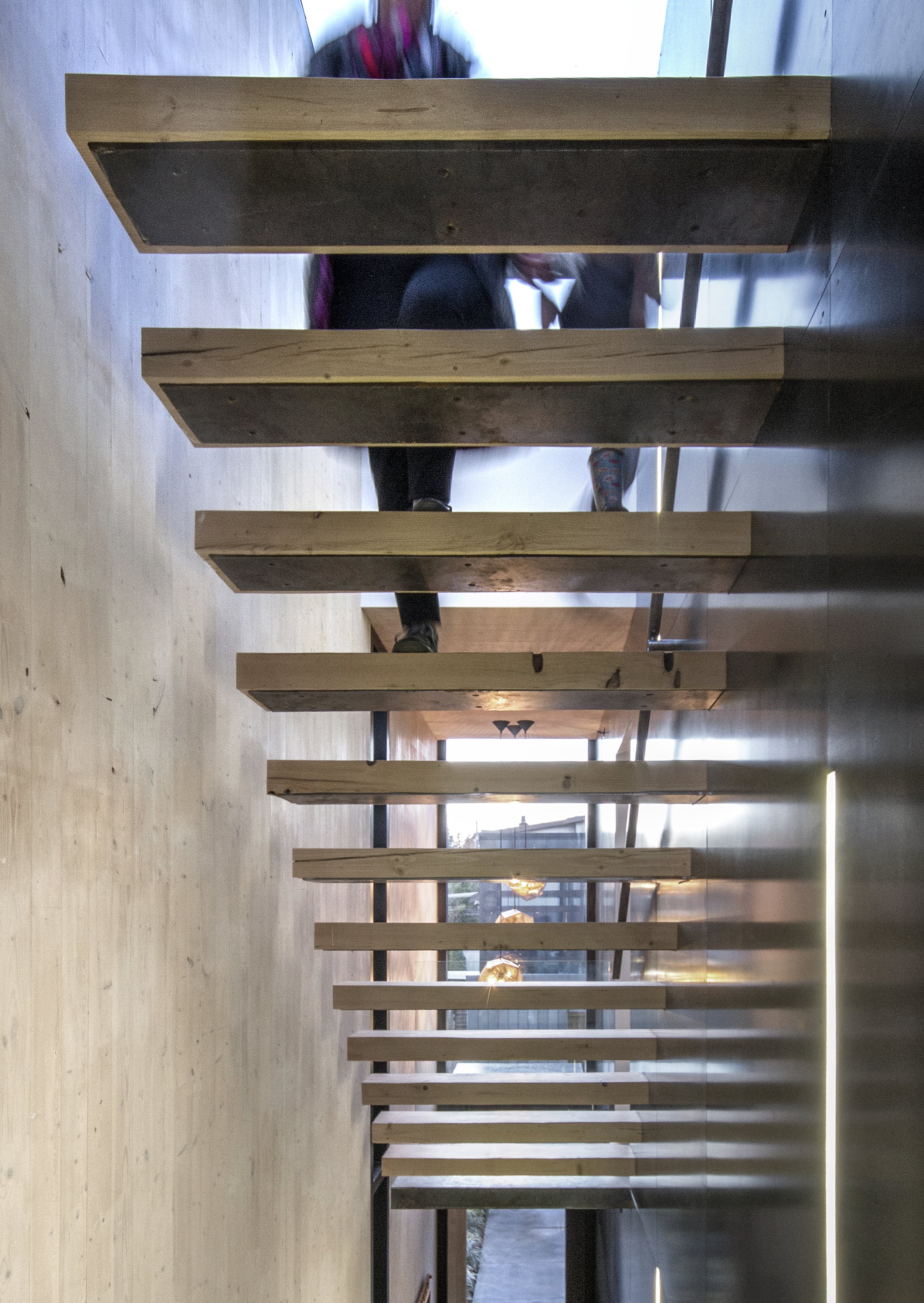hidden-studio-dpo-clt-courtyard-house-stair-underside-edit.jpg