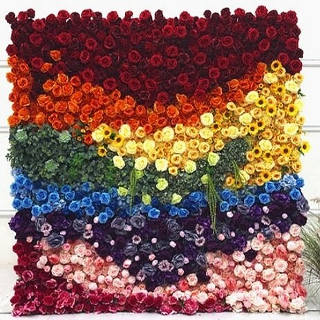 next%2Brainbow%2Bwall.jpg