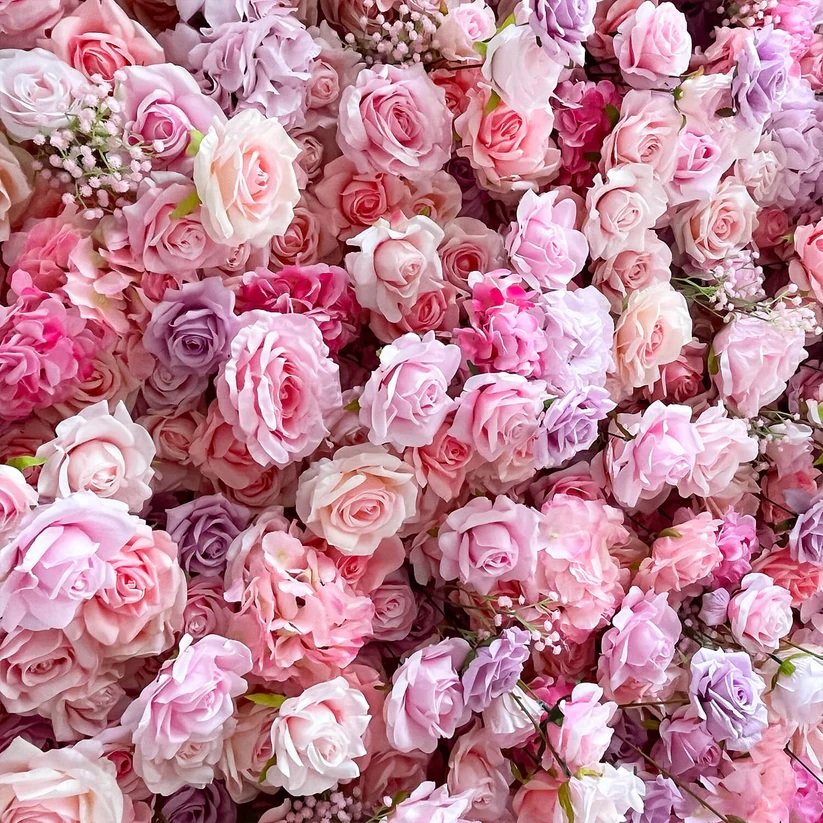 pinks.jpg