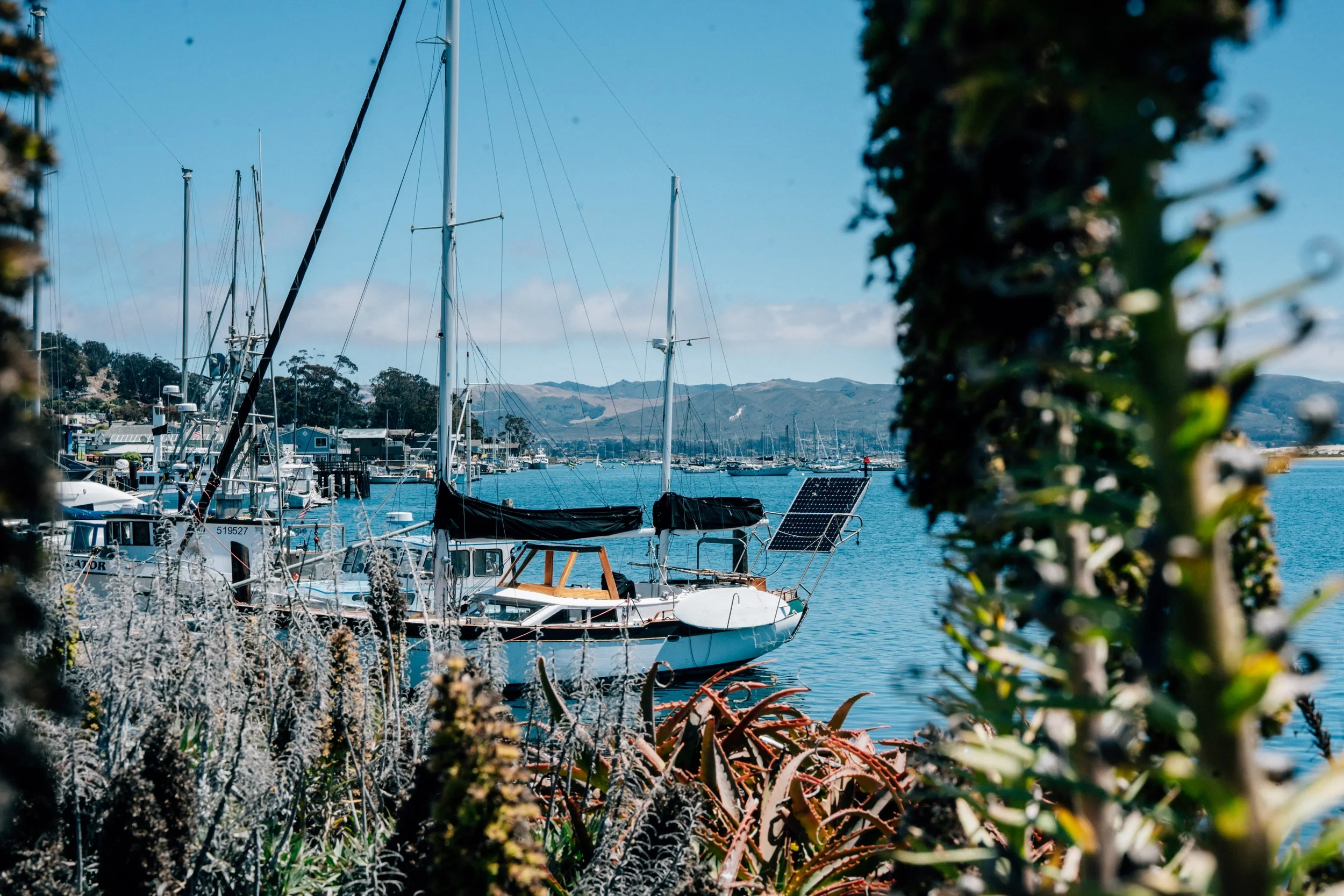 shotbynesha x sandy vans x morro bay-06.jpg