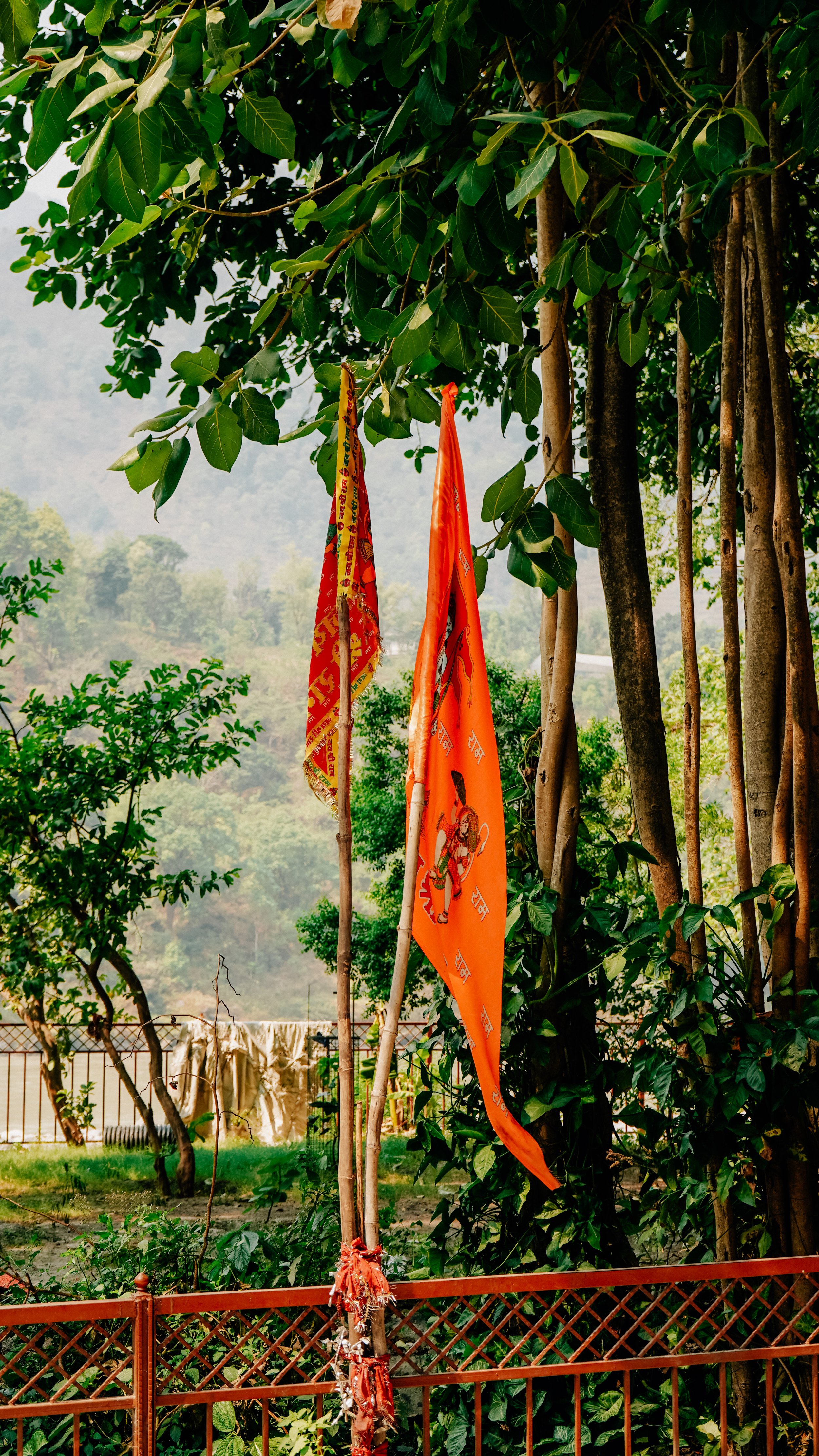 rishikesh yogpeeth-26.jpg