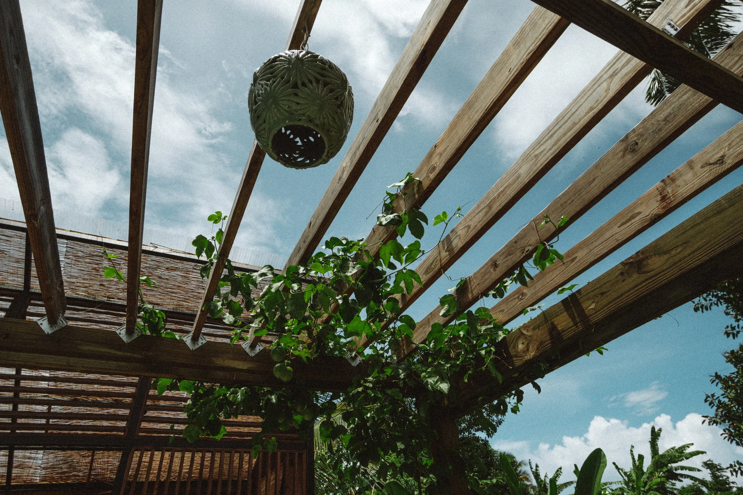 TDC x Vieques x Finca Victoria (130 of 261).jpg