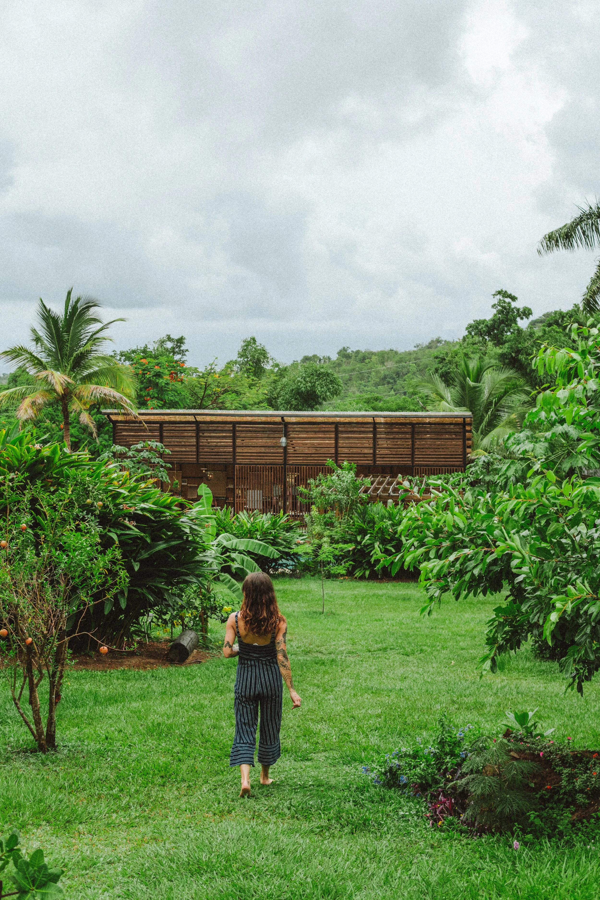 TDC x Vieques x Finca Victoria (85 of 261).jpg