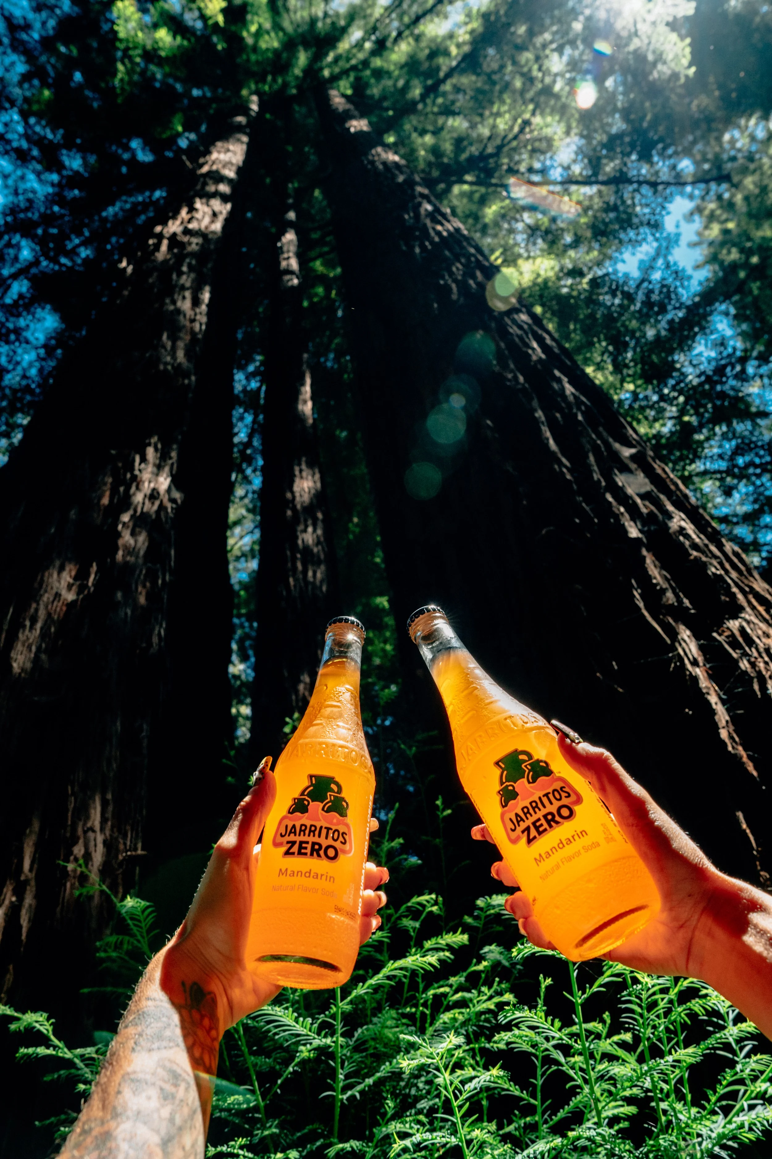 shotbynesha x jarritos x santa cruz redwoods-14.jpg