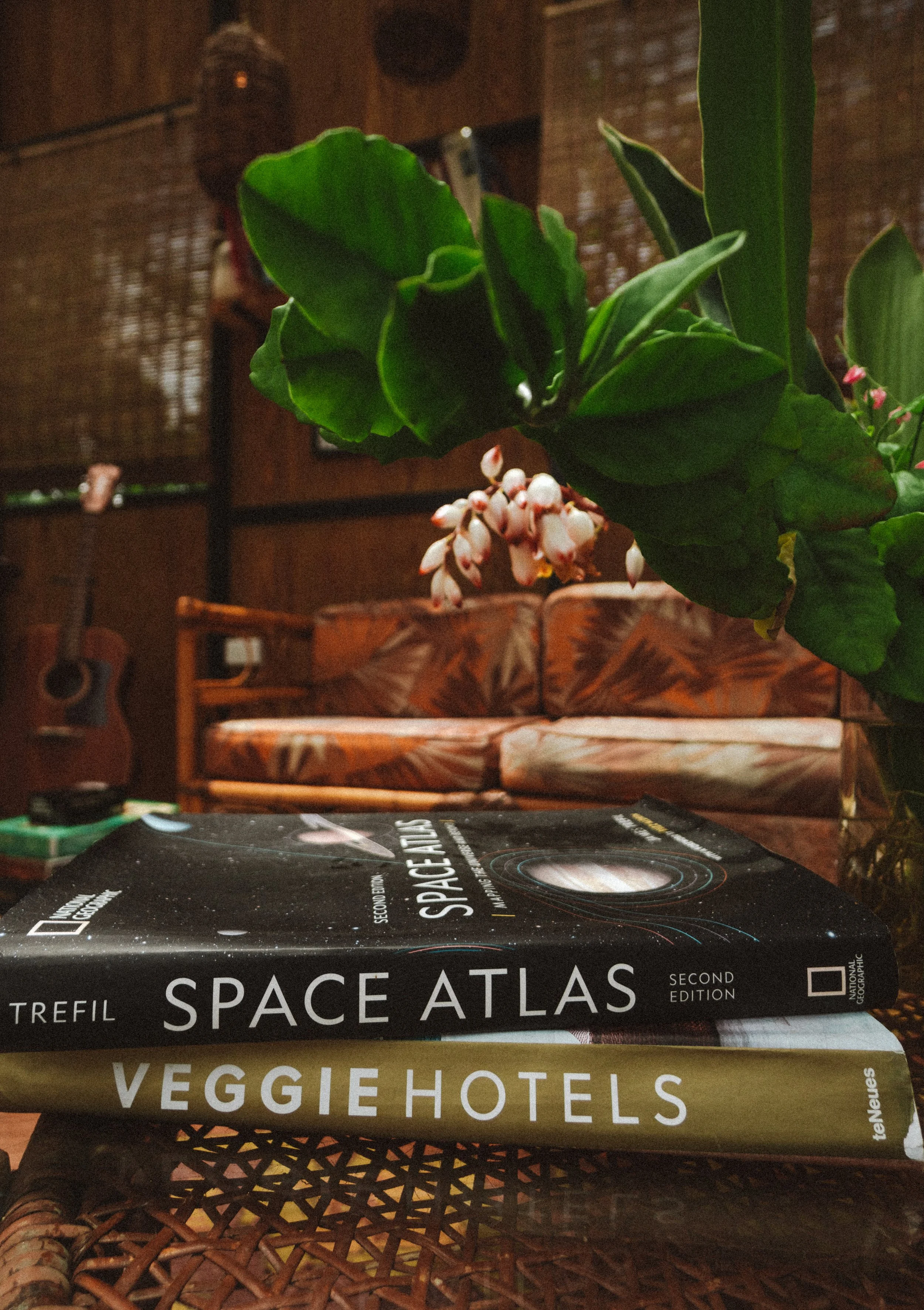 TDC x Vieques x Finca Victoria (131 of 261).jpg