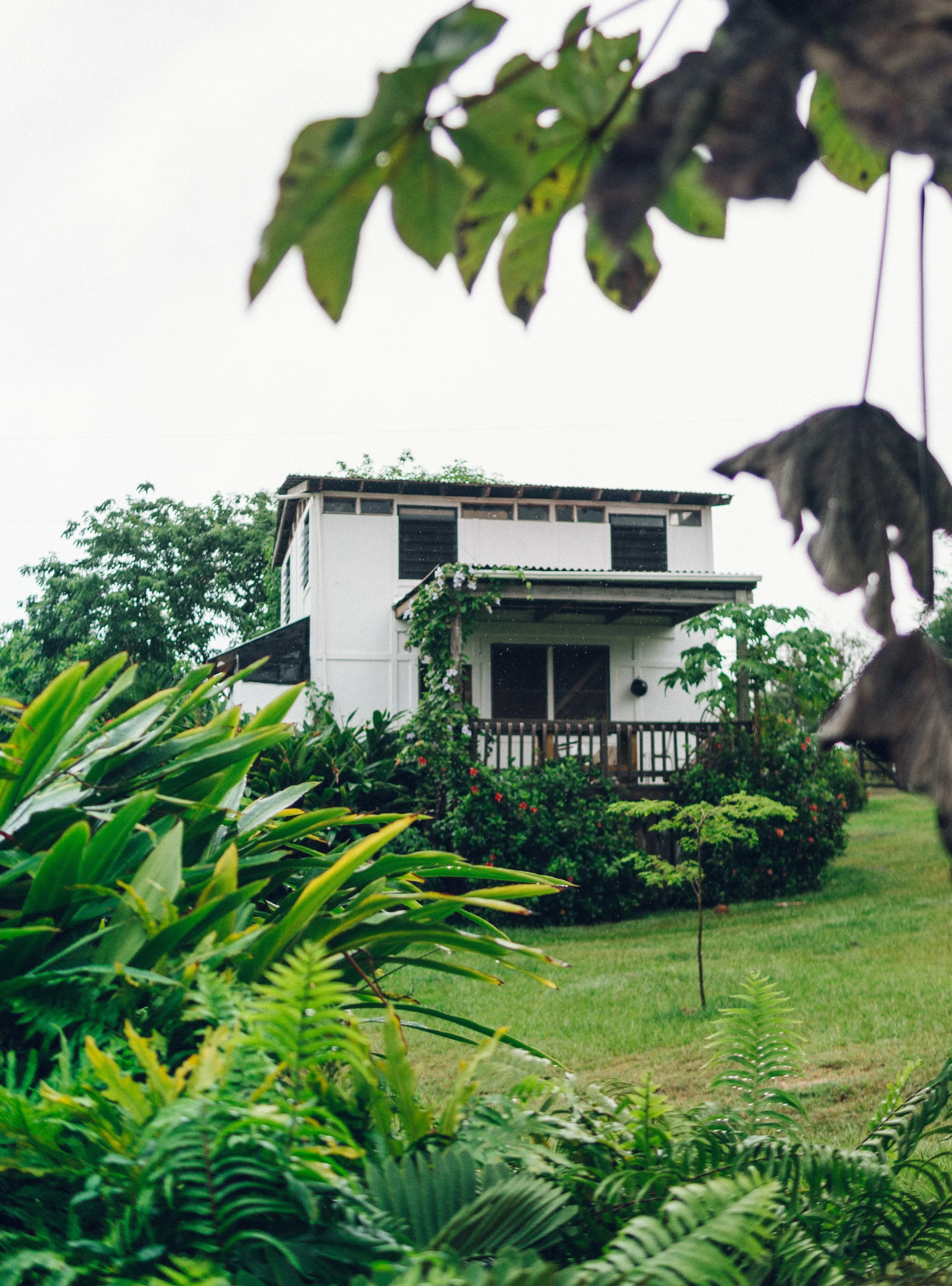 TDC x Vieques x Finca Victoria (21 of 261).jpg