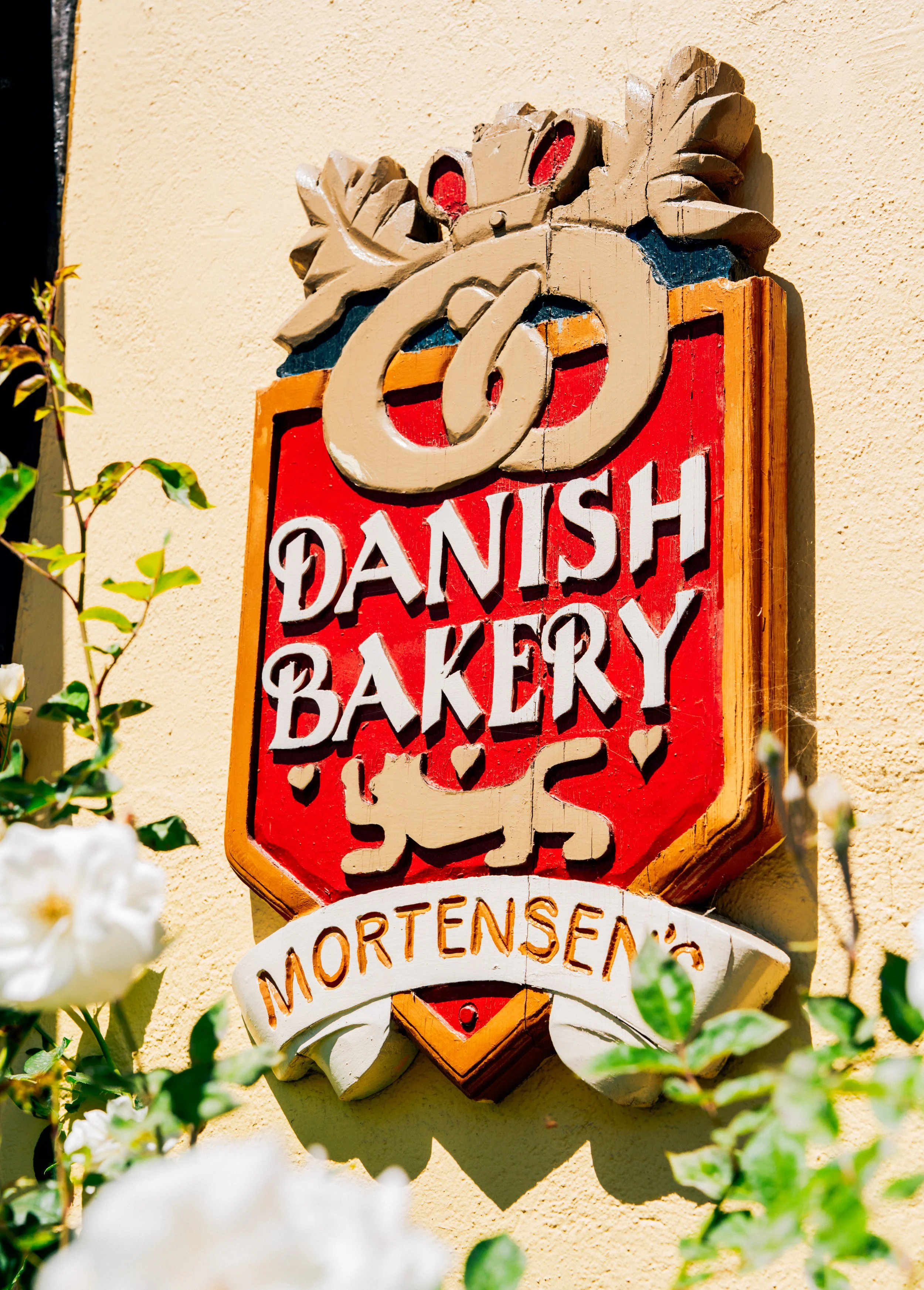 shotbynesha x sandy vans x solvang-15.jpg