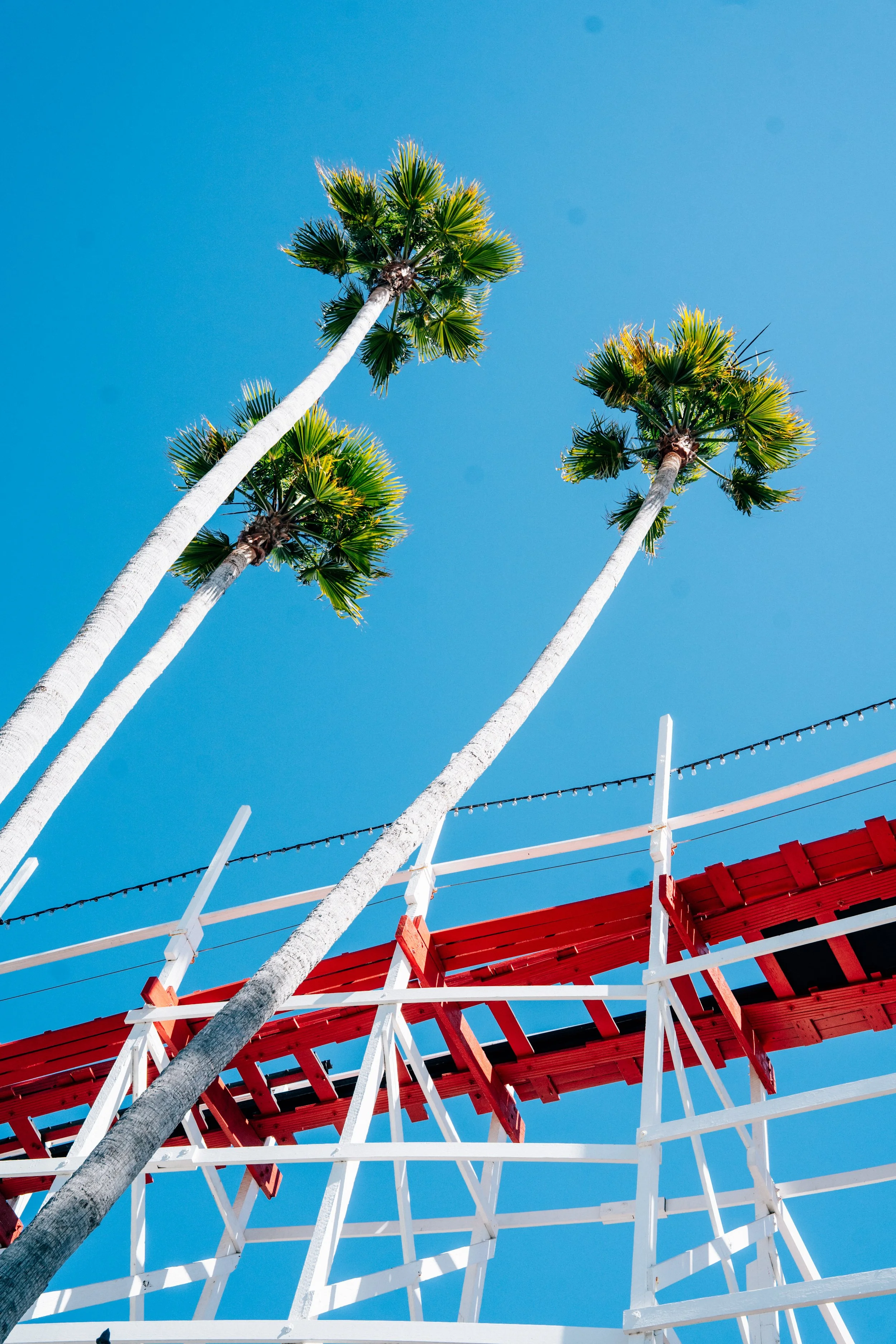 shotbynesha x jarritos x santa cruz boardwalk-11.jpg