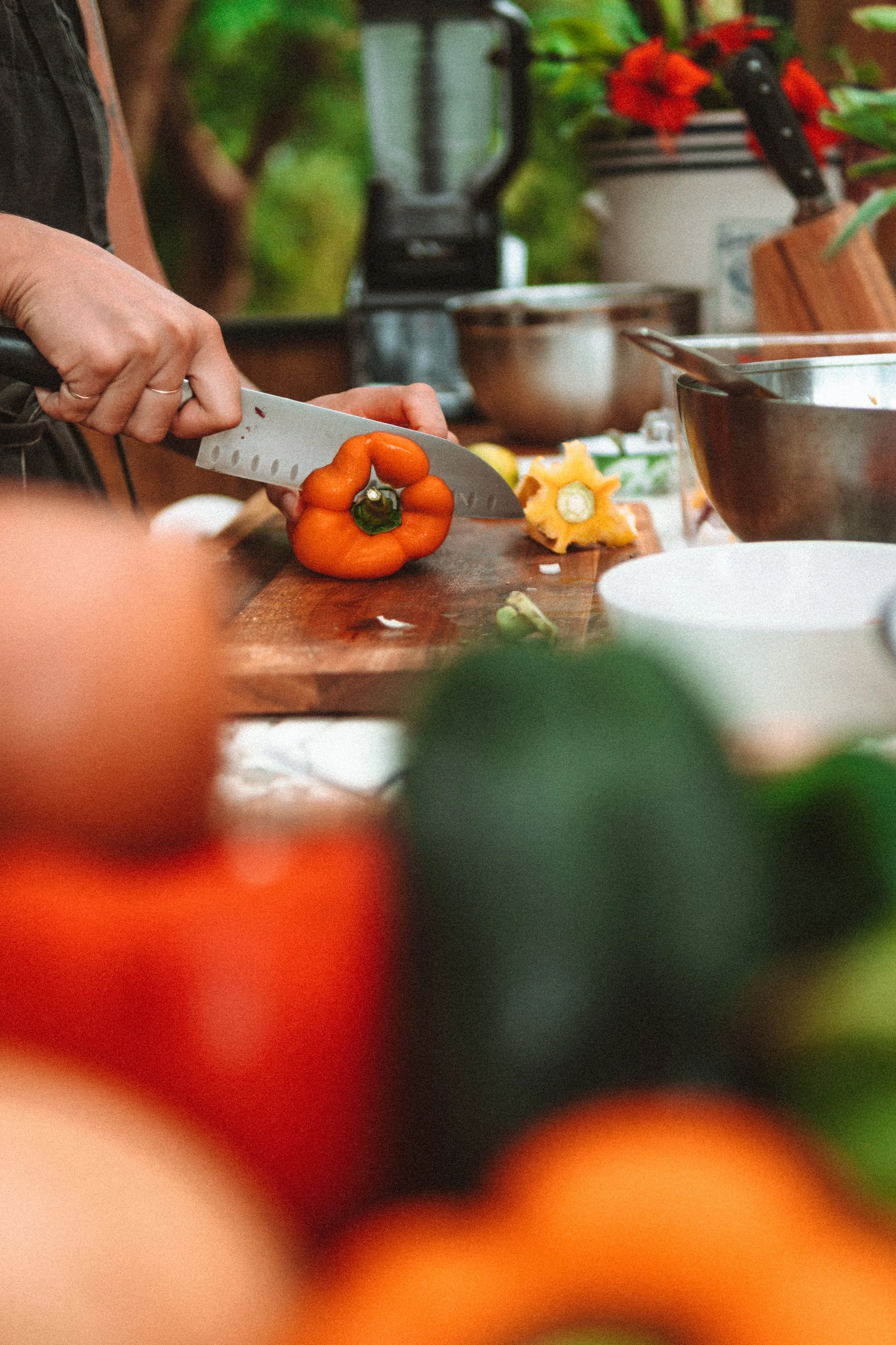 TDC x Vieques x Finca Victoria (17 of 261).jpg