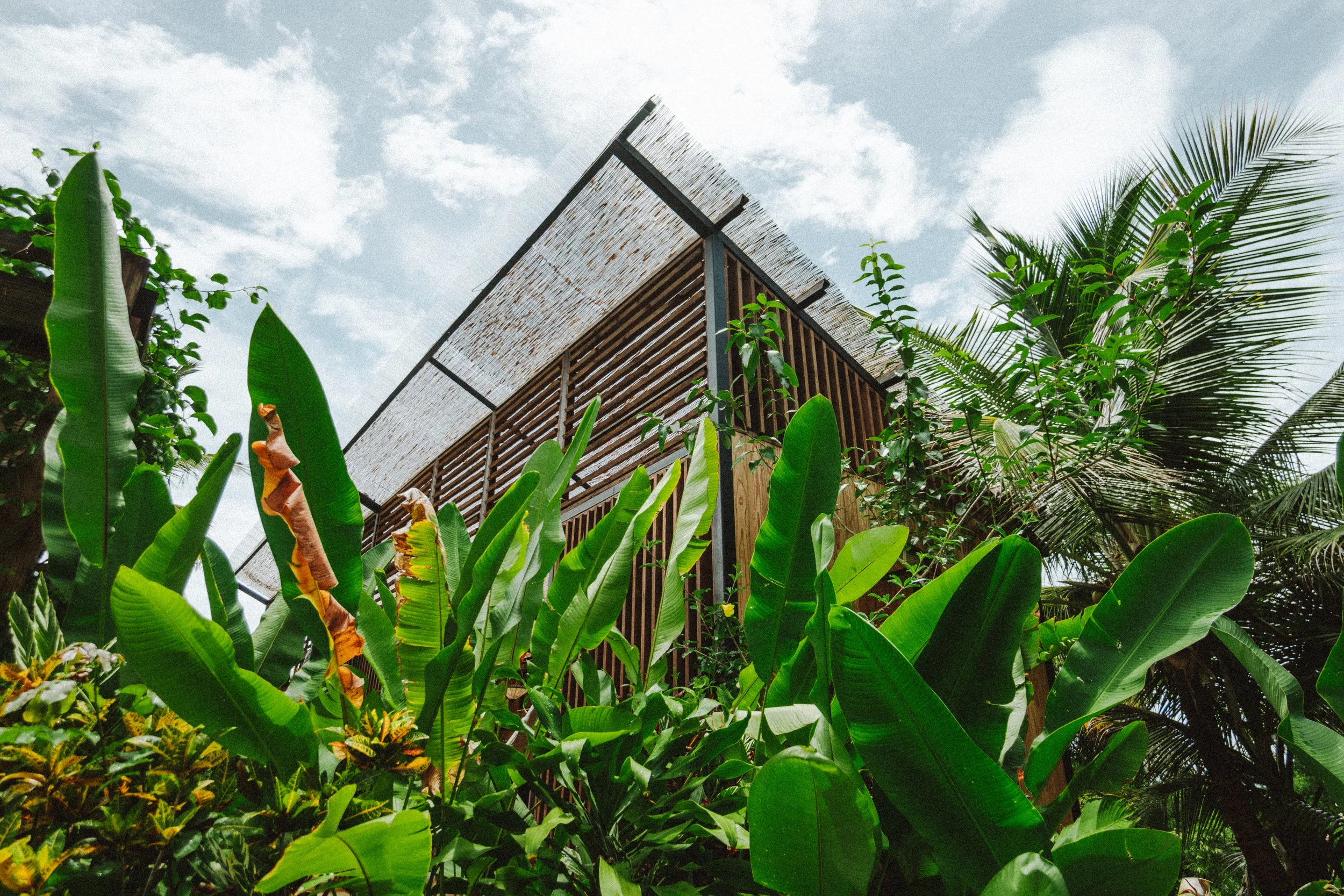 TDC x Vieques x Finca Victoria (129 of 261).jpg