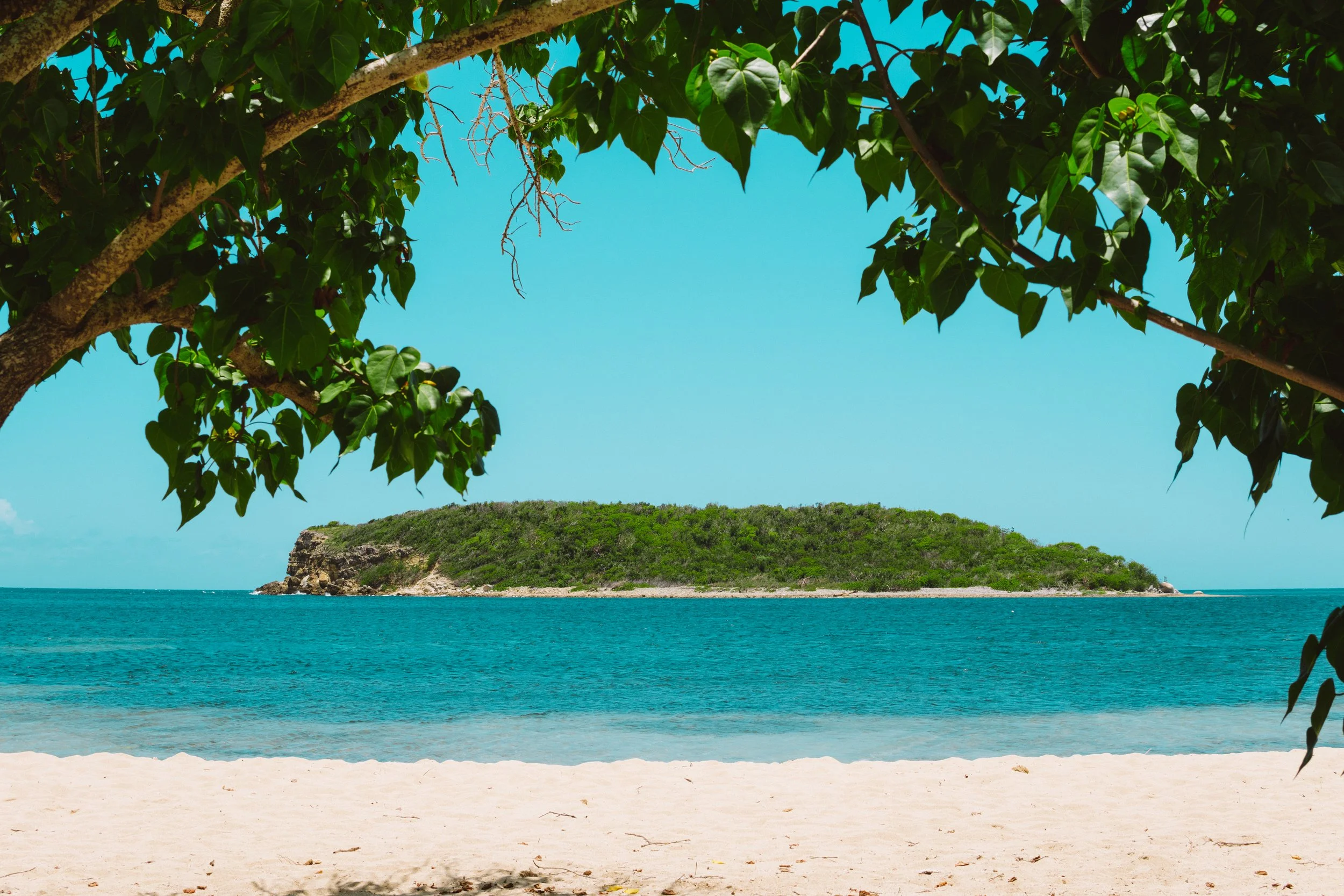 TDC x Vieques x Finca Victoria (261 of 261).jpg