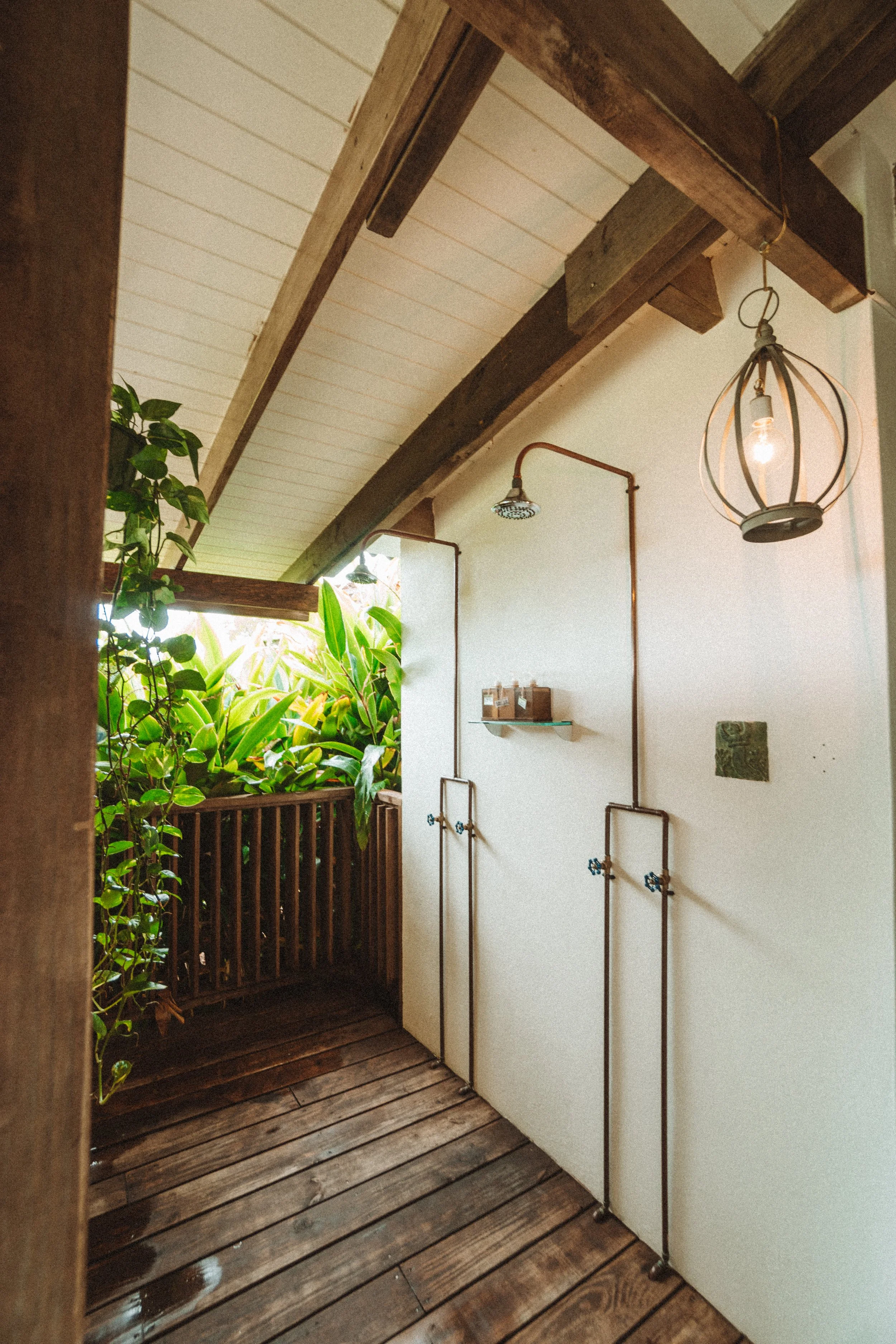 TDC x Vieques x Finca Victoria (37 of 261).jpg