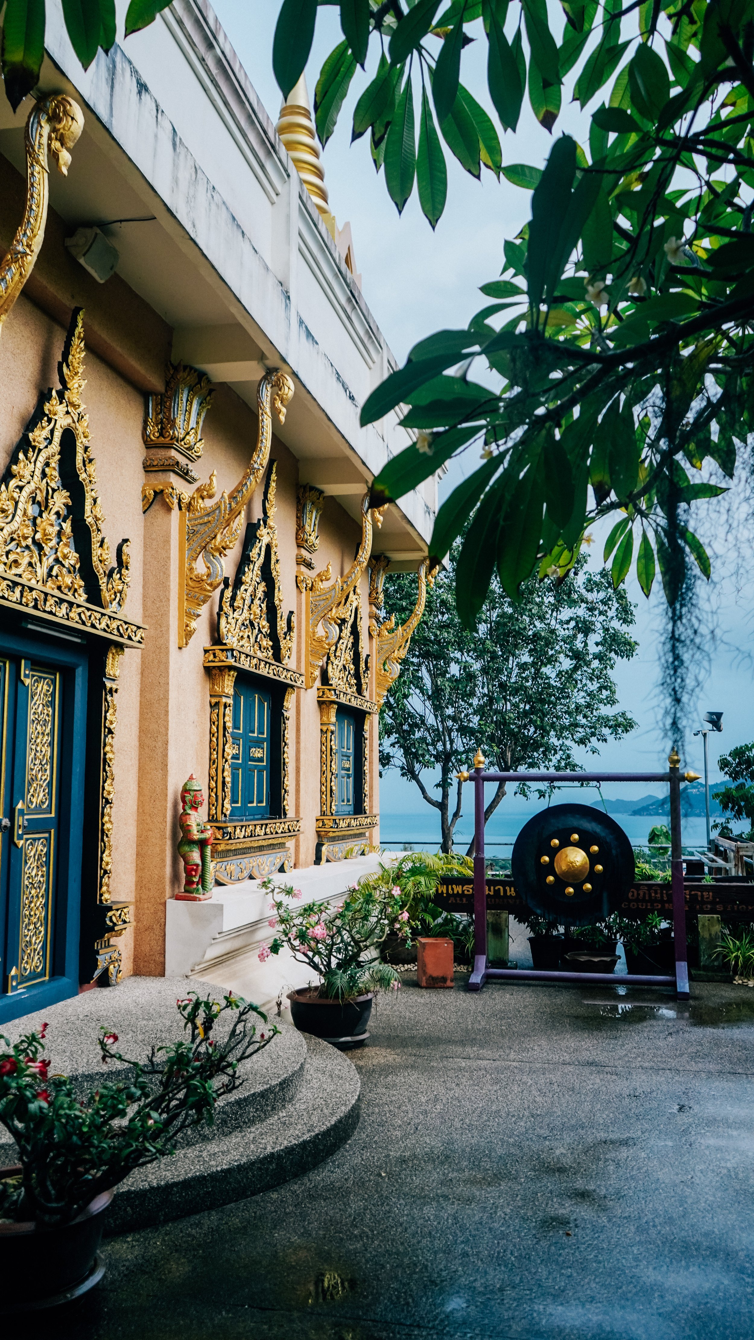 Temples - Trend45 - Shot By Nesha-01.jpg