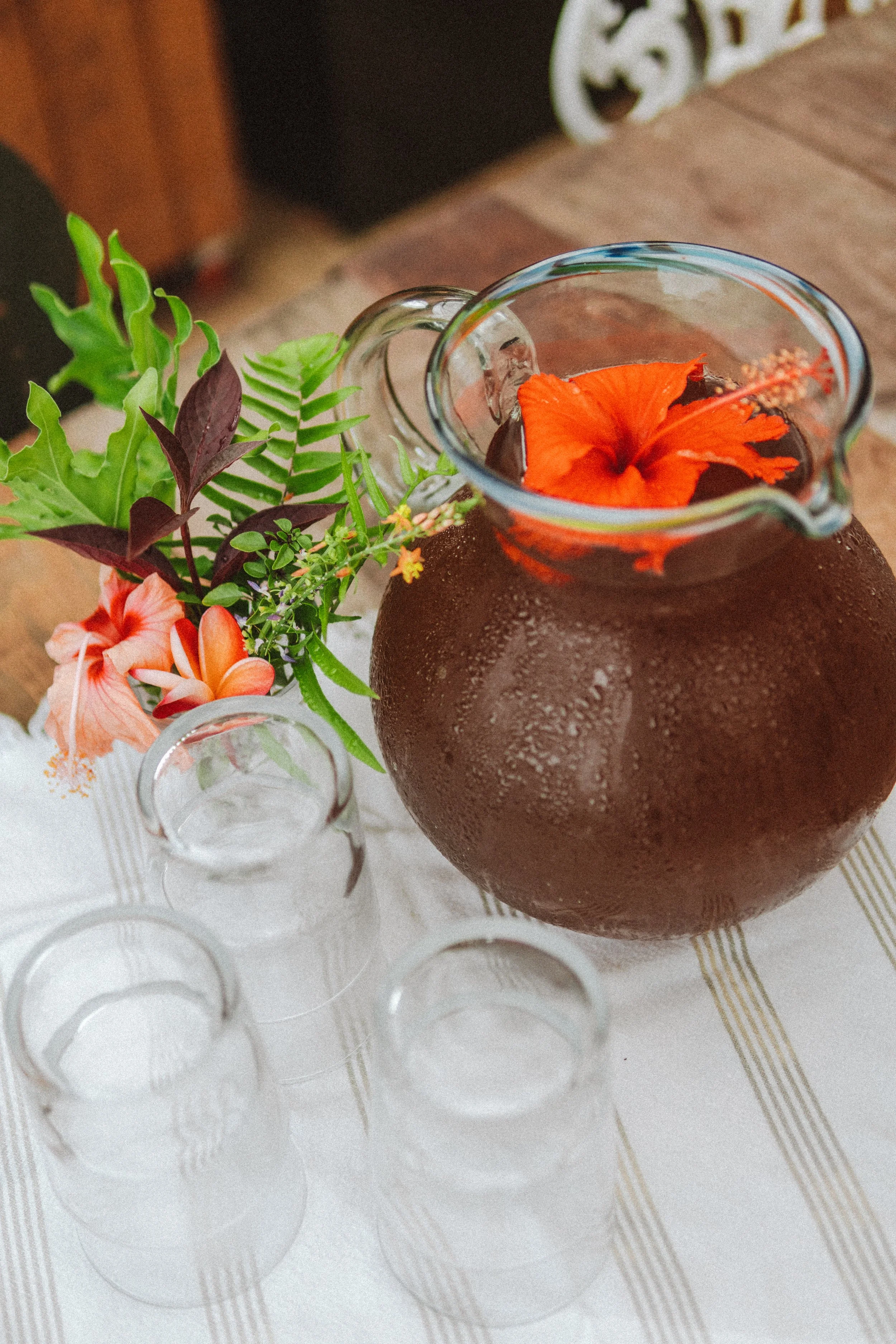 TDC x Vieques x Finca Victoria (151 of 261).jpg