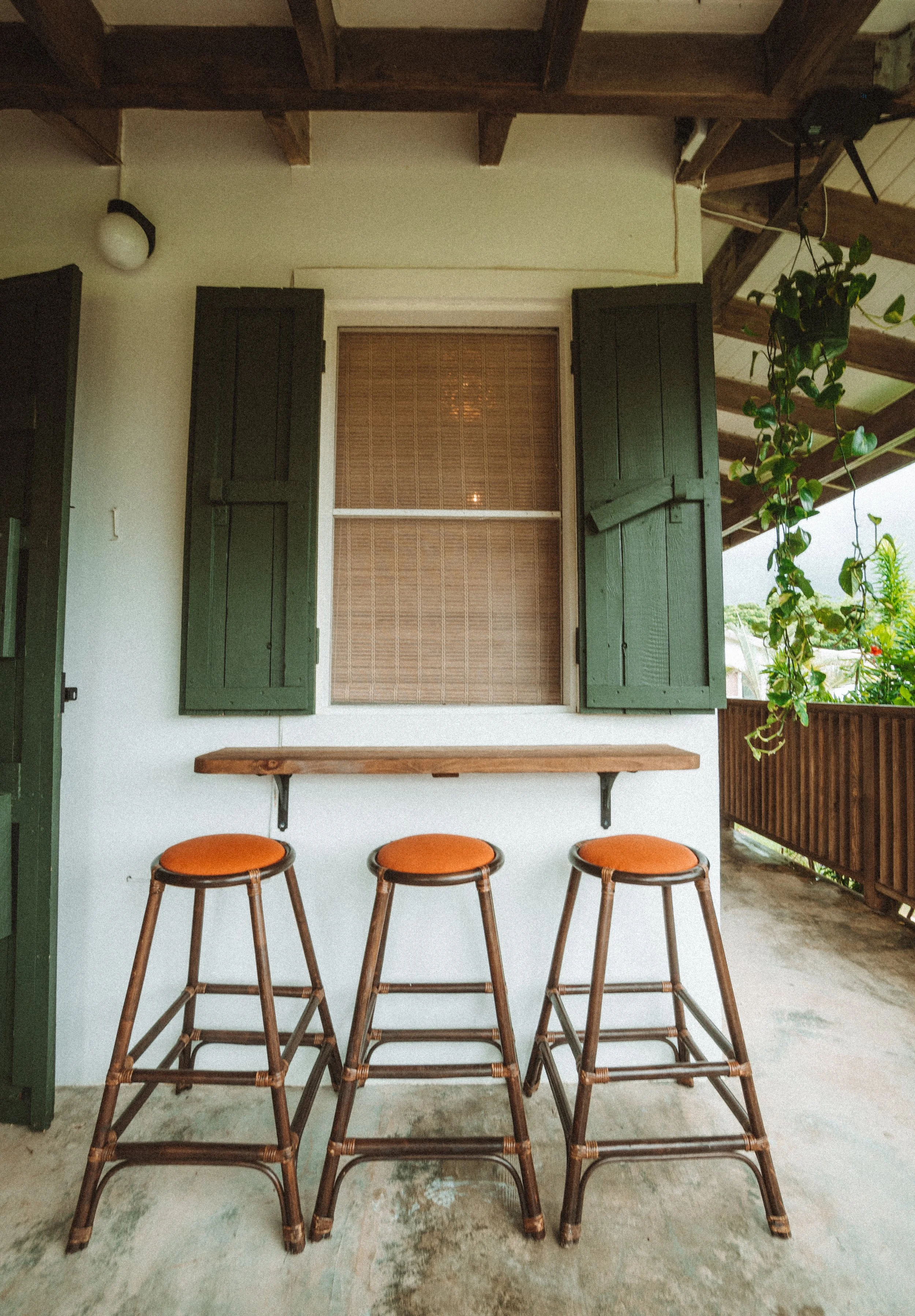 TDC x Vieques x Finca Victoria (38 of 261).jpg