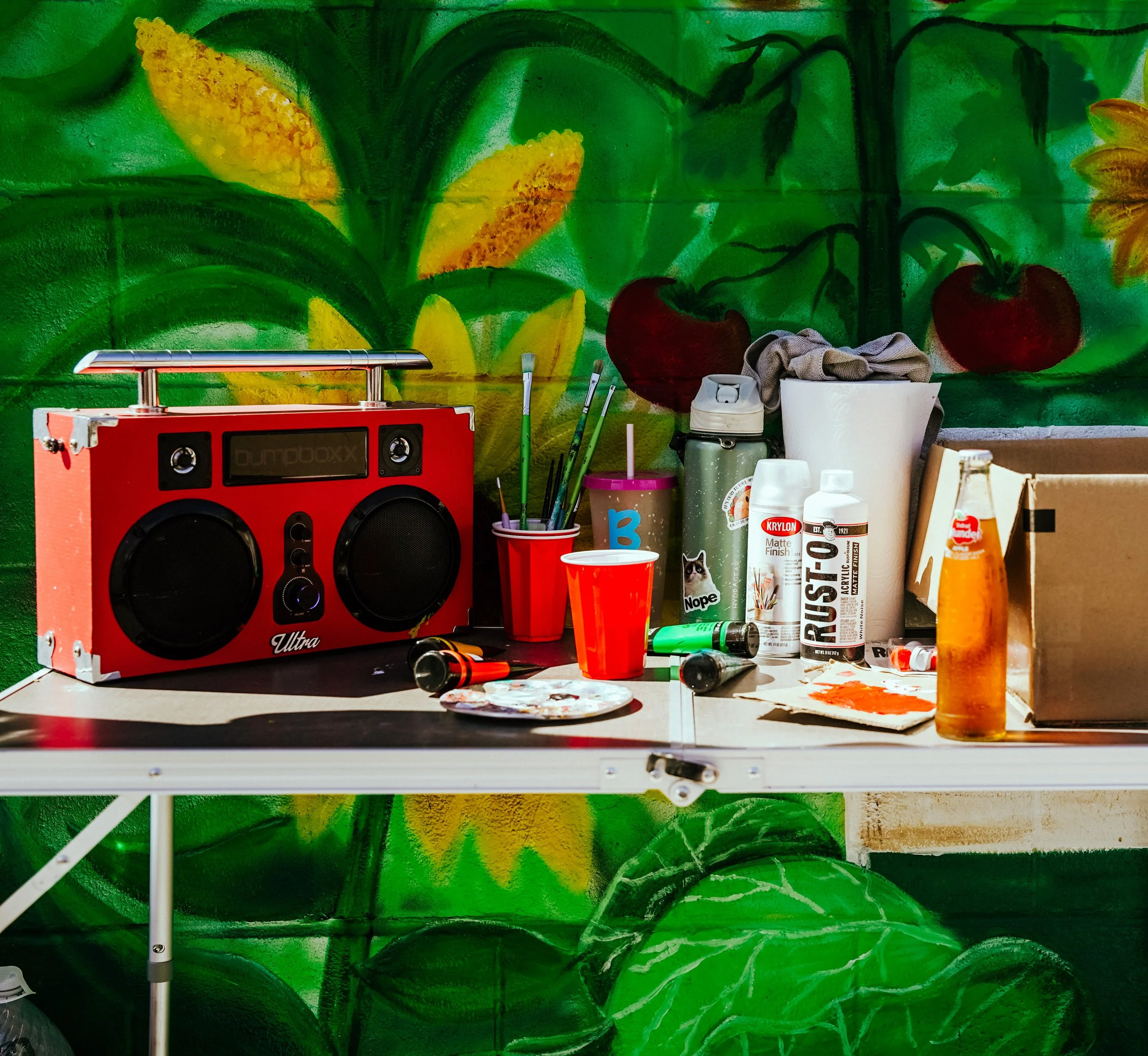 Jarritos x Shot By Nesha x Oceanside-115.jpg