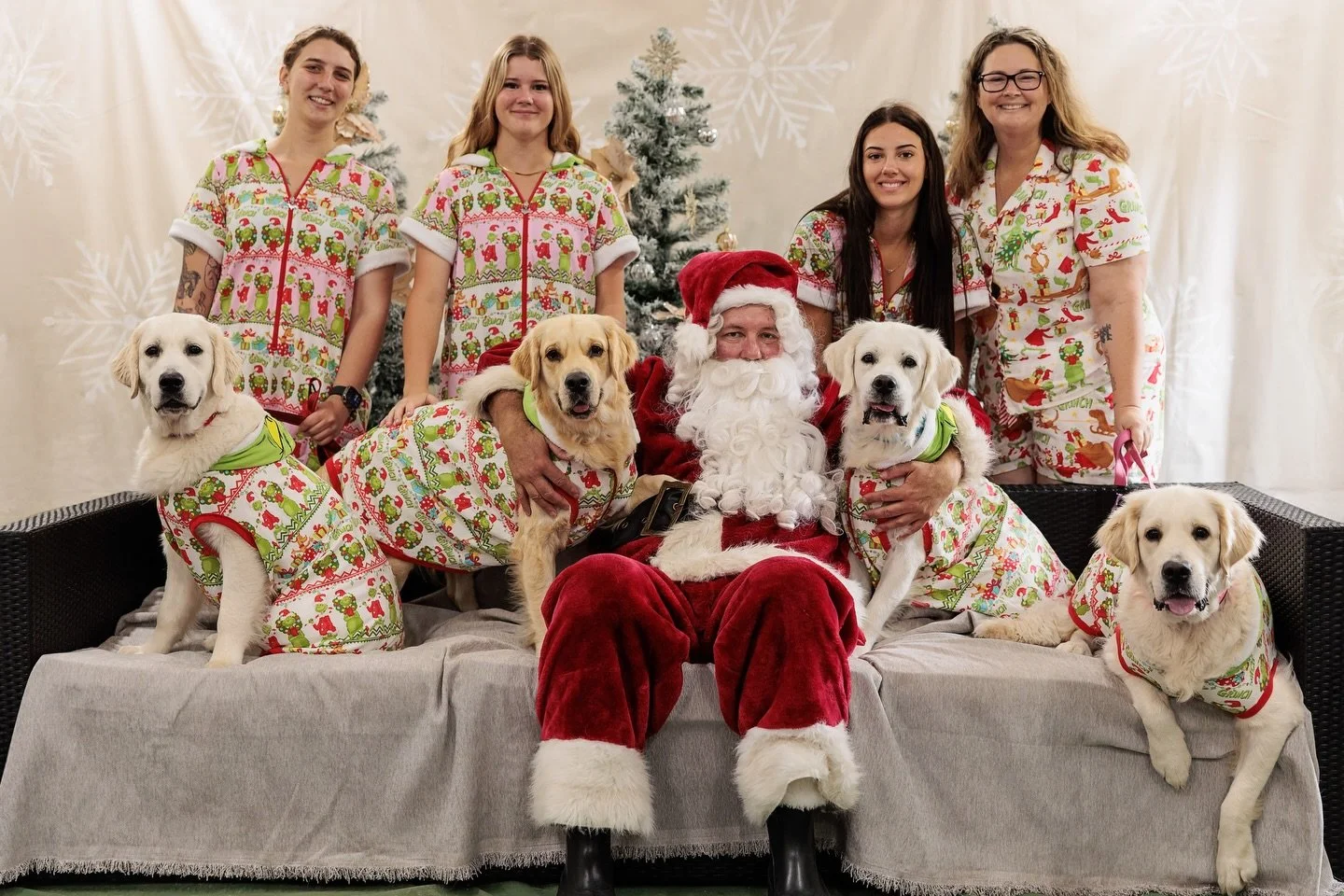 Christmas is just around the corner, and we&rsquo;re already feeling the joy! ❤️🎅 The Citsejam family (two and four-legged alike) is getting into the festive spirit &mdash; full of wagging tails, twinkling lights, and golden cuddles, our family of r