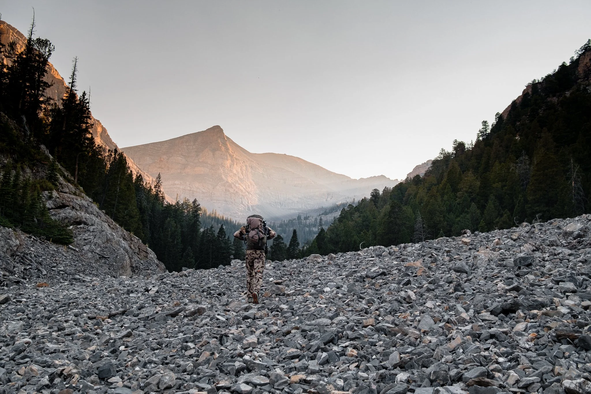 Callum Sheep Hunt -4.jpg
