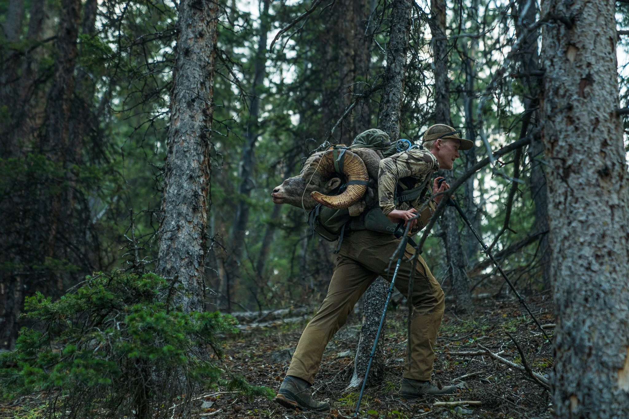 Callum Sheep Hunt -23.jpg