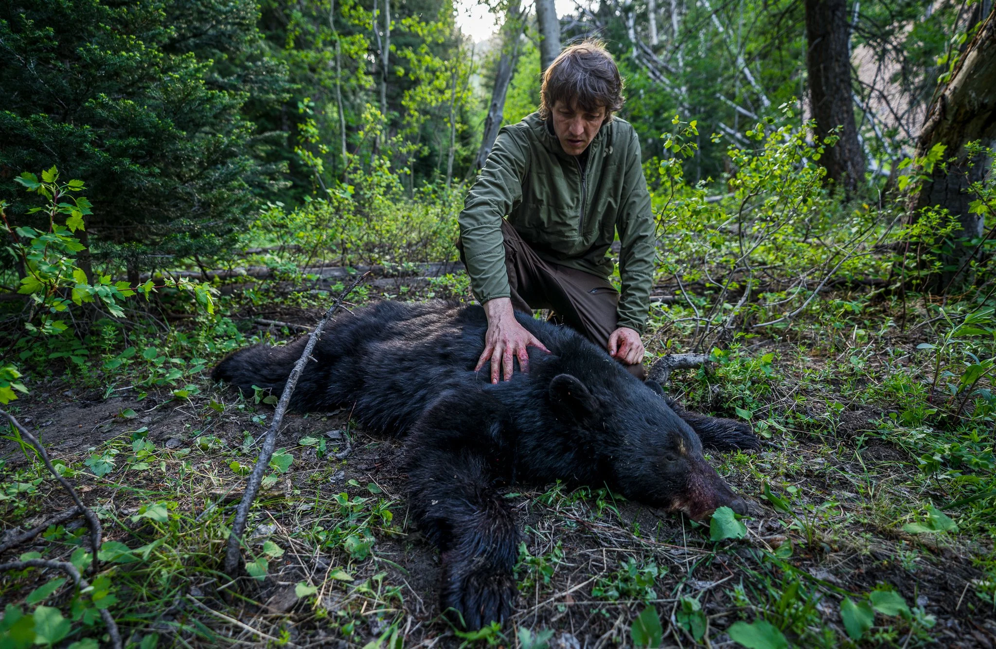 Keith Bear Hunt small-10.jpg