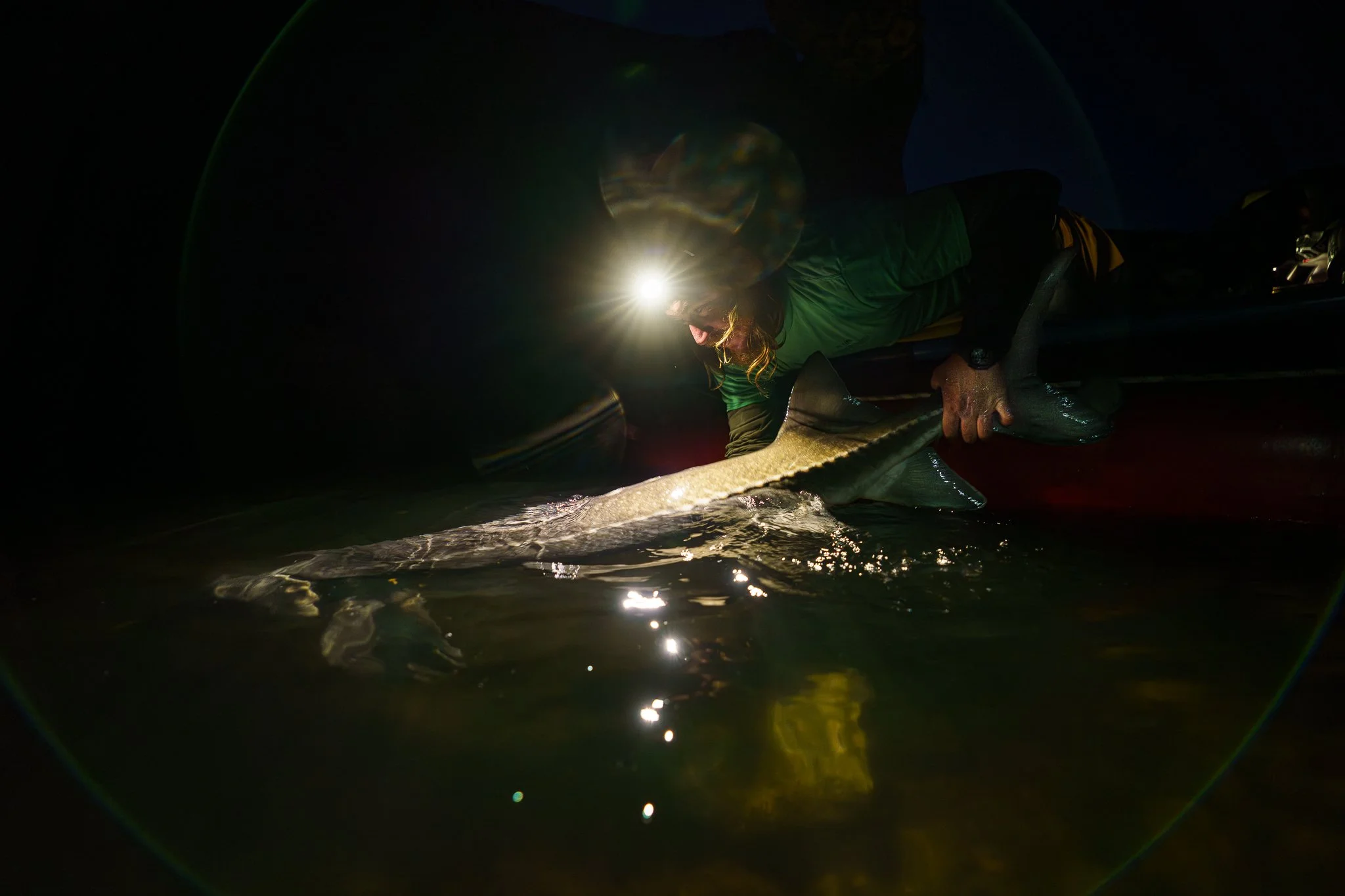 221 Sunbeam St.-0869.jpg