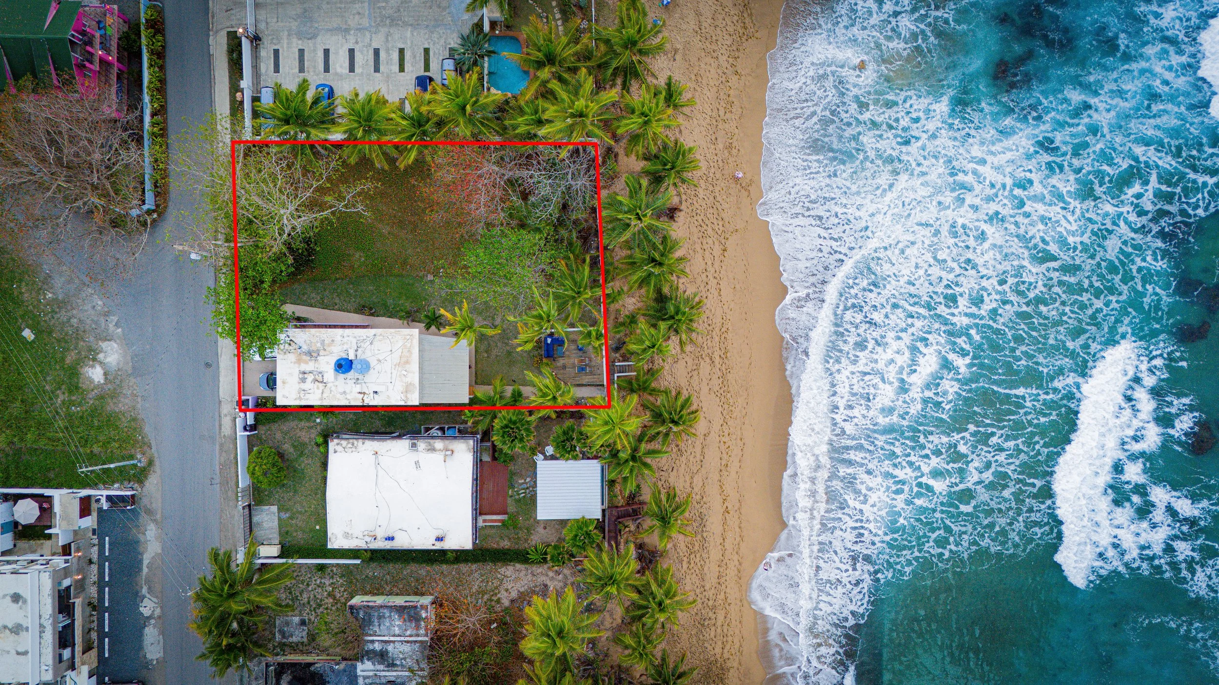 paradise practice 2.jpeg