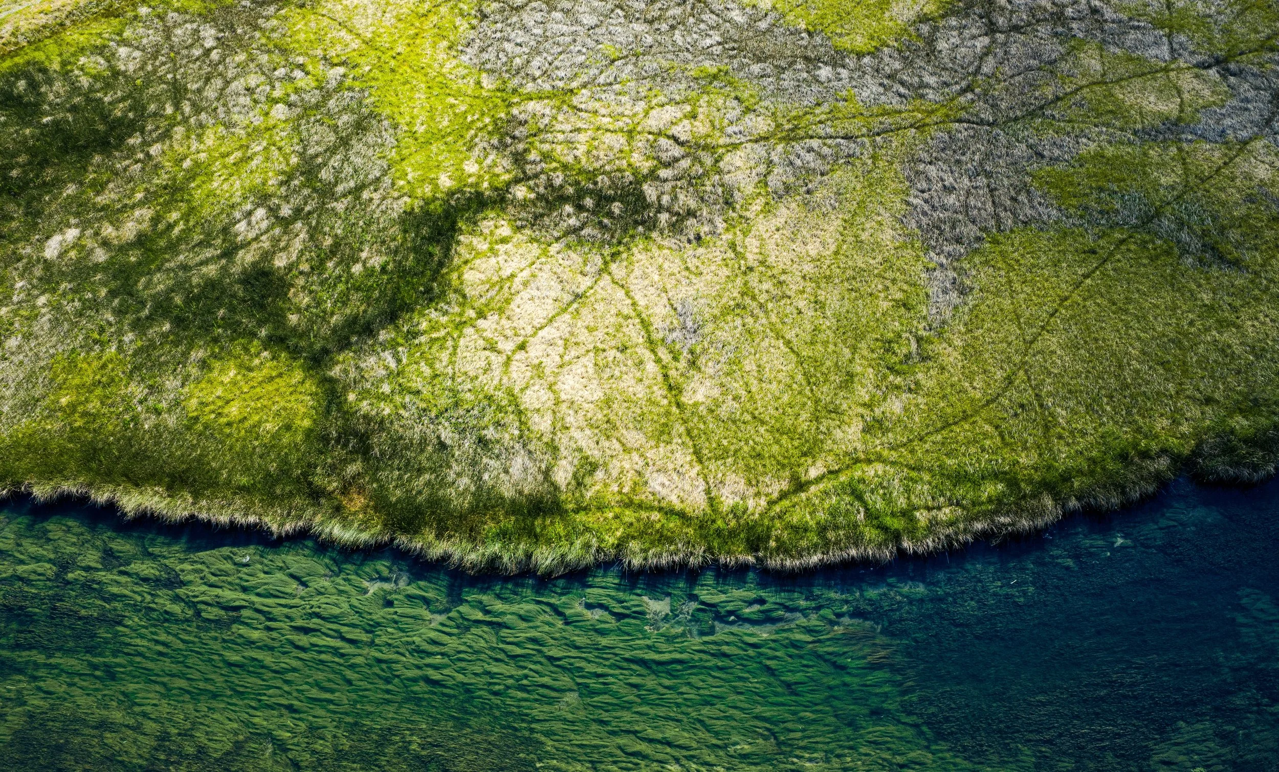 creekin1.jpeg