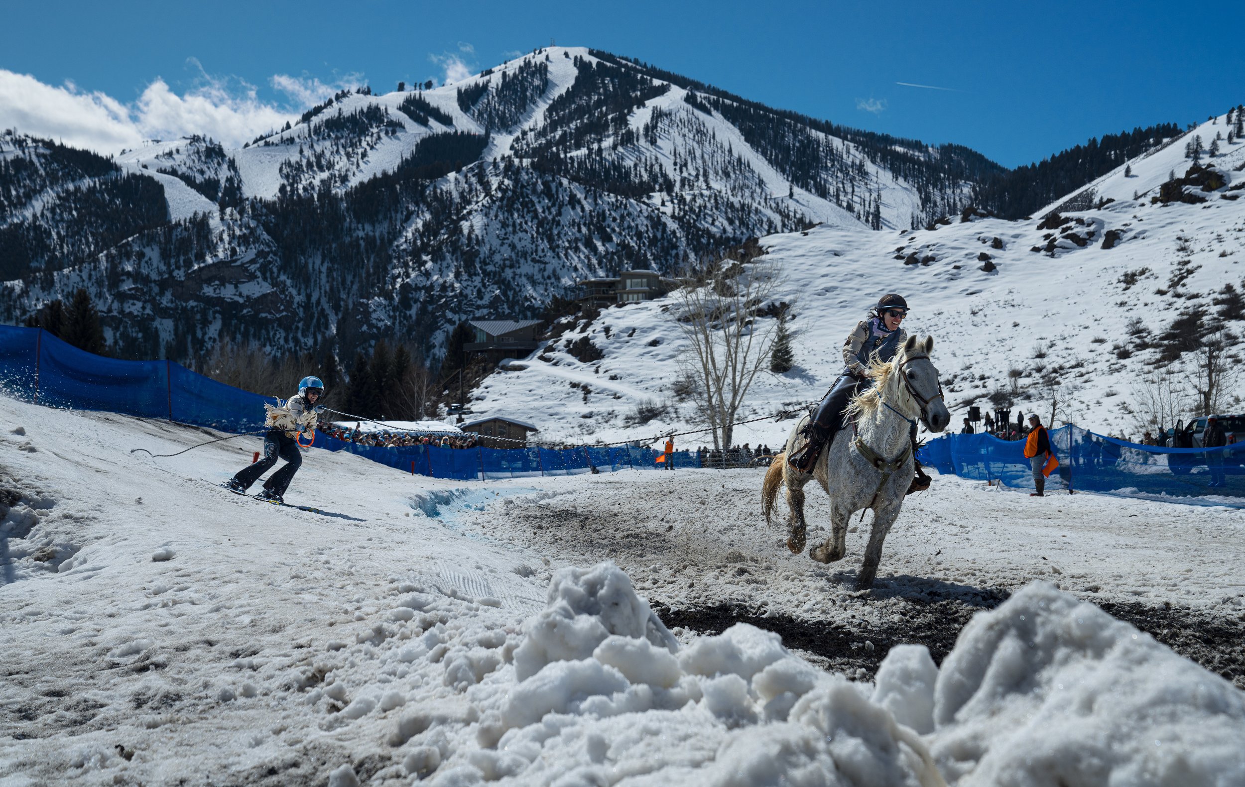 Ski Jouring low.jpeg