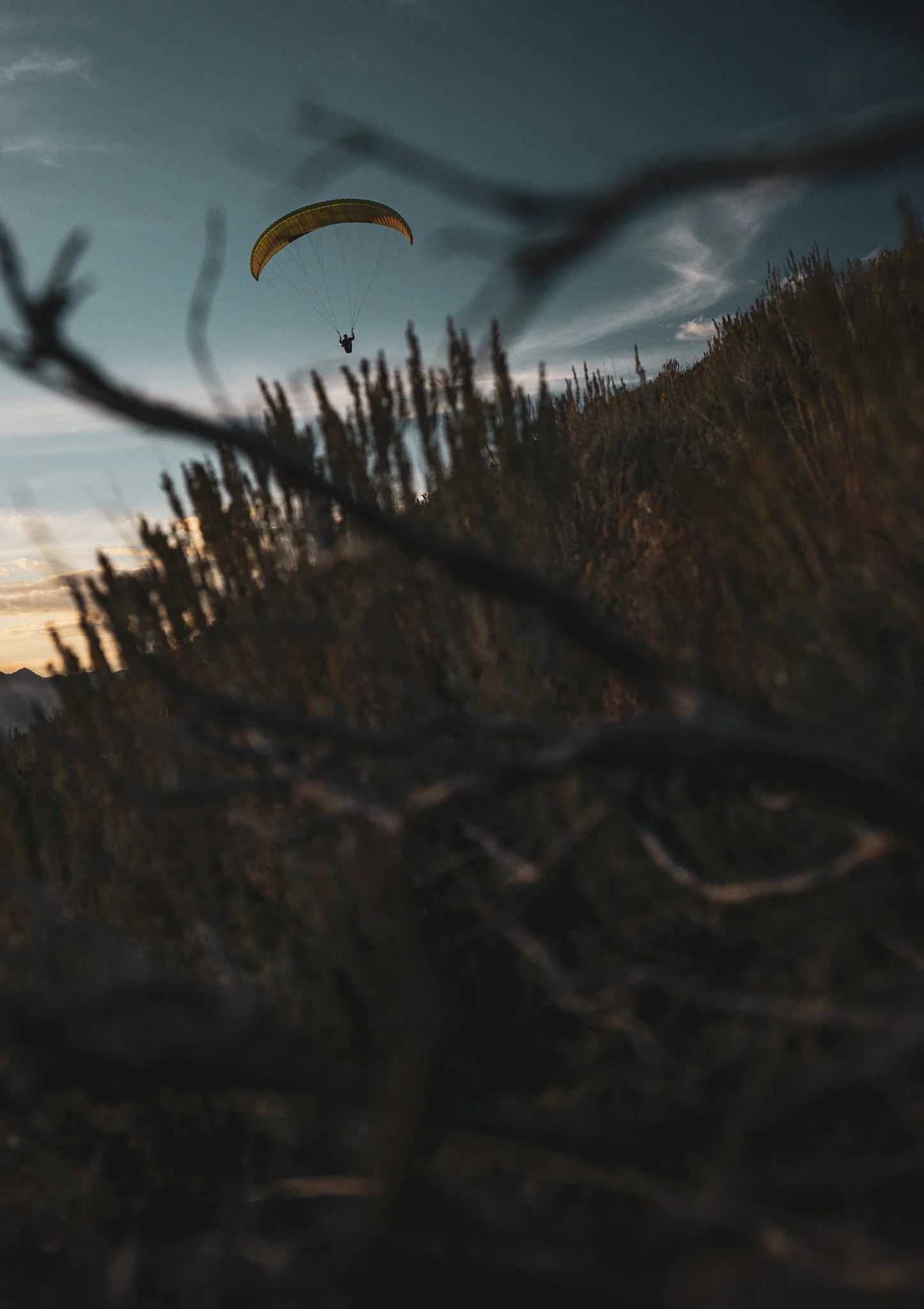 Winter On the Wood-5.jpg