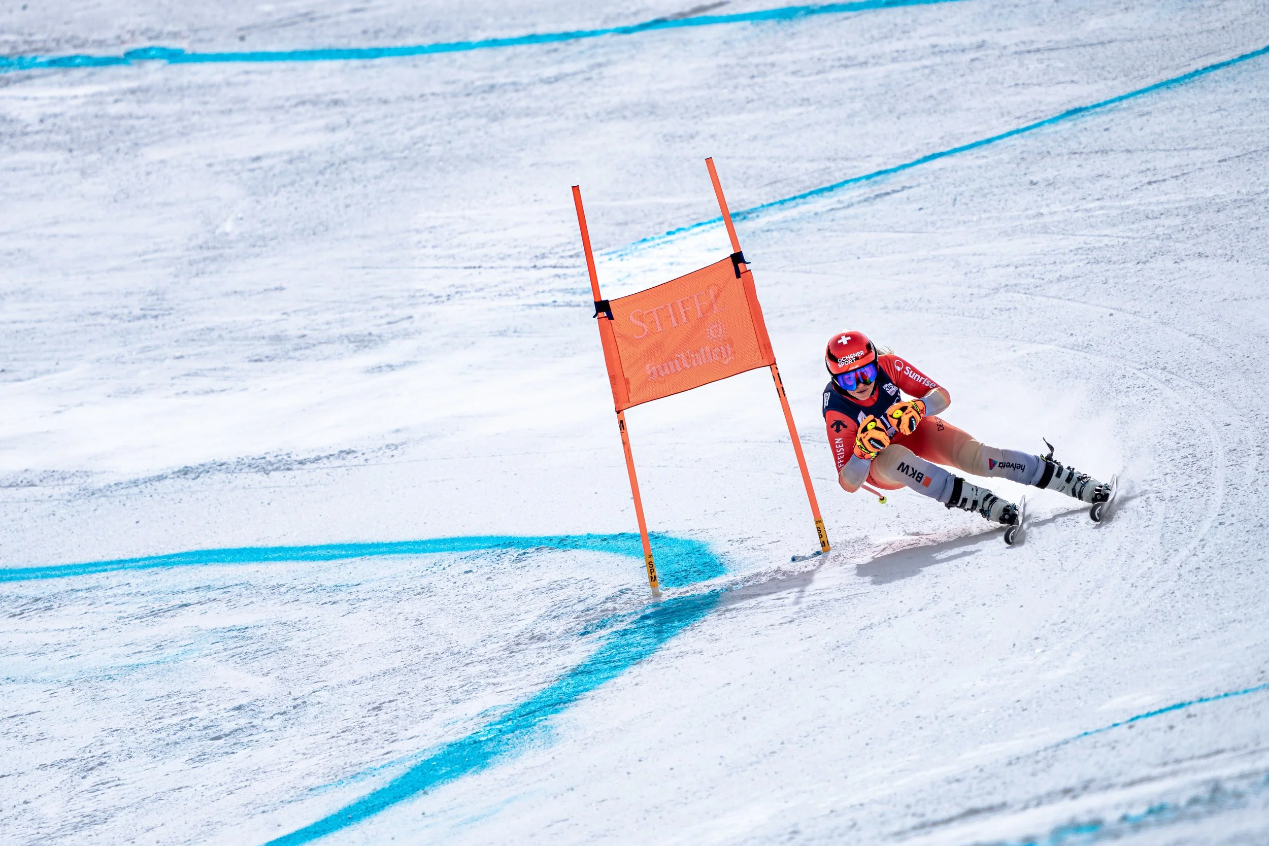 World Cup Finals swedish.jpeg