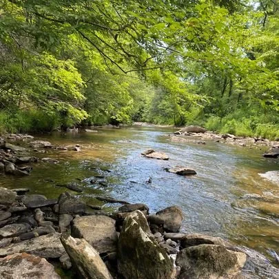 A peaceful river flowing through a lush, green forest with rocks scattered throughout the water.