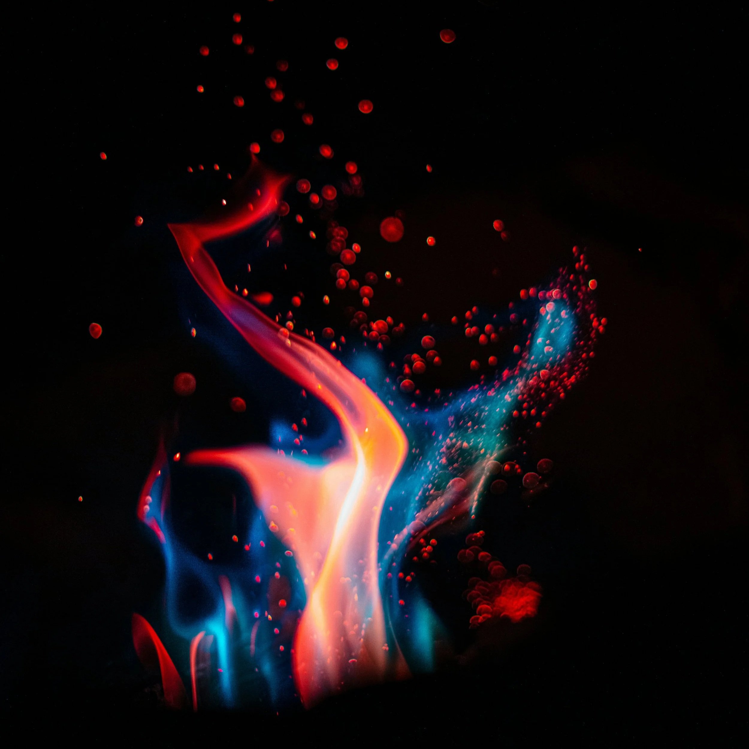 patrick-hendry-rAx4MemwFAo-unsplash.jpg