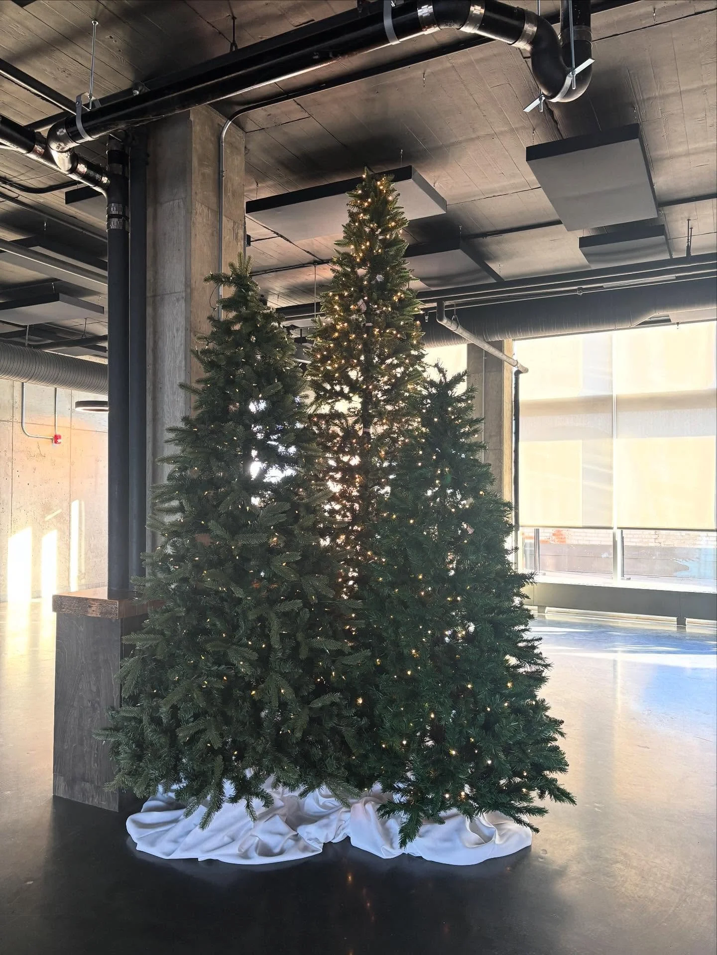 The trees are up and the holiday spirit is alive at Brighton Block! 🎄✨
We&rsquo;re still booking holiday parties&mdash;whether it&rsquo;s a cozy gathering or a full-on festive celebration.
Secure your date and celebrate the season with us!

#YEG #YE