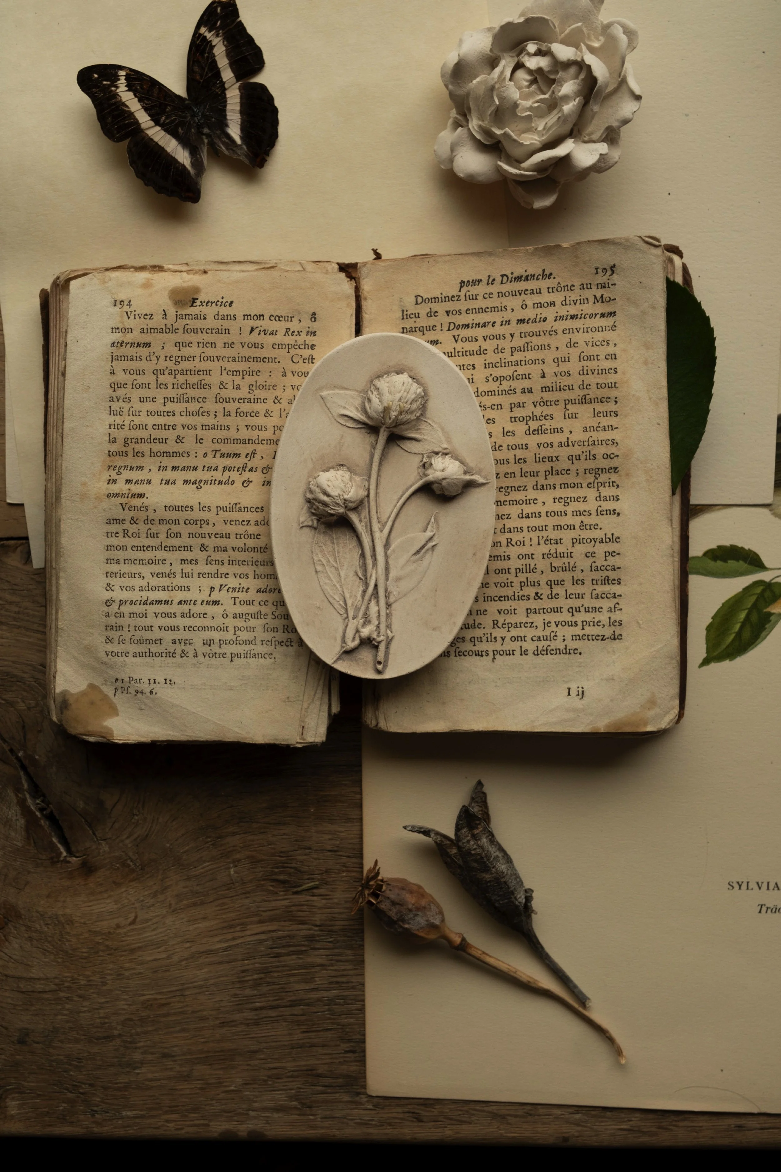 jocelynkempeplasterartist-49.jpg