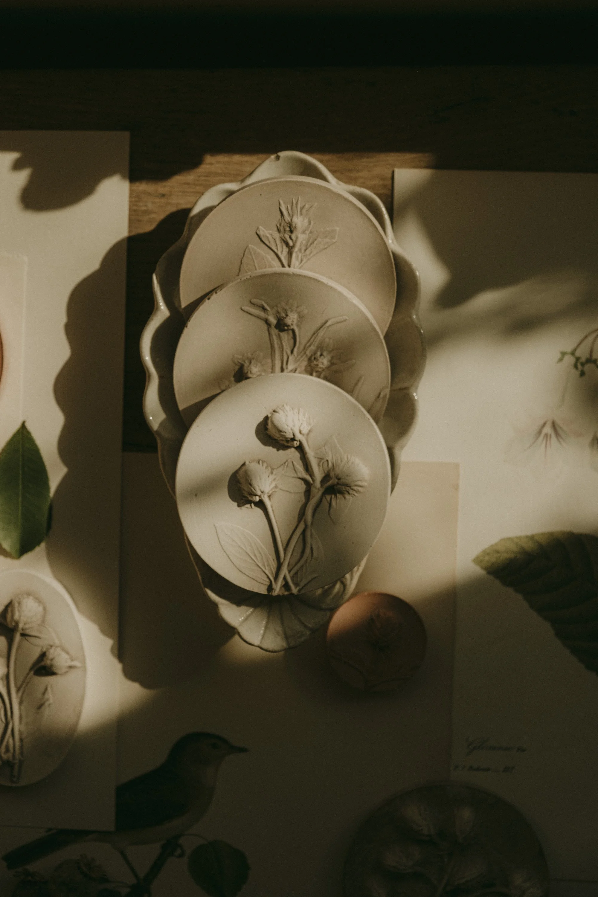 new collection 234-2.jpg