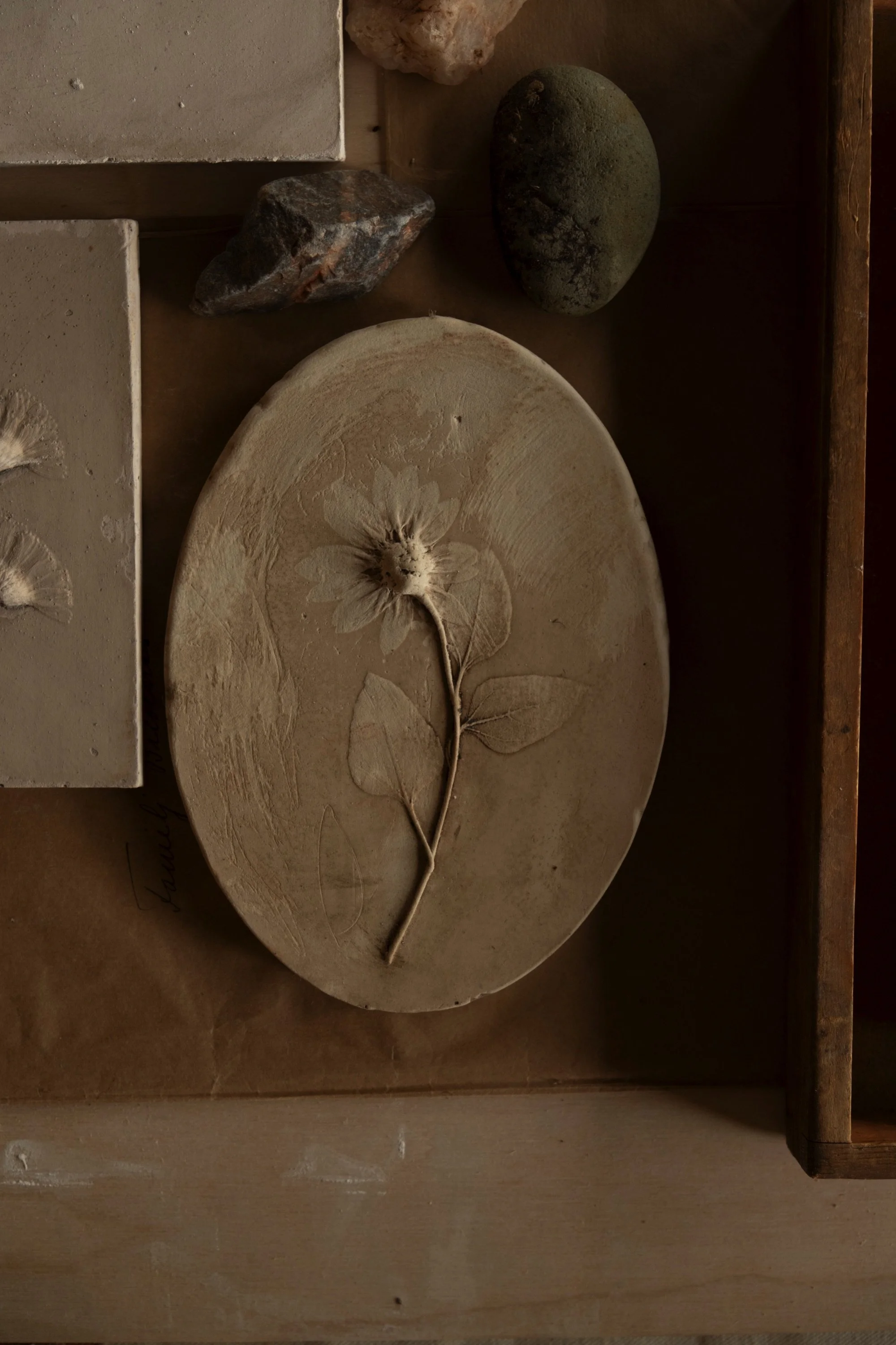 No. 5 · Oval cast of sunflower in gypsum, acid washed to create depth and dimension. Very organic.
Measures 8 x 6