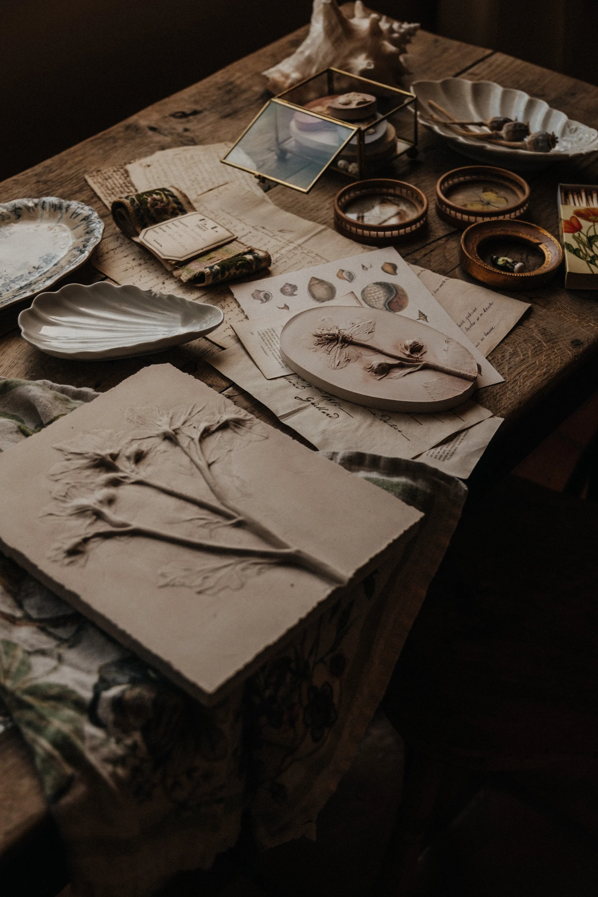 The Poetry of Plaster : A New Chapter  